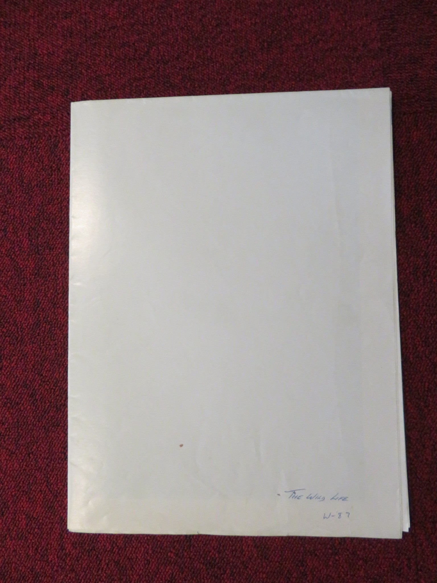THE WILD LIFE FOLDED US ONE SHEET POSTER CHRIS PENN RICK MORANIS 1984 Rendezvous Cinema Movie posters