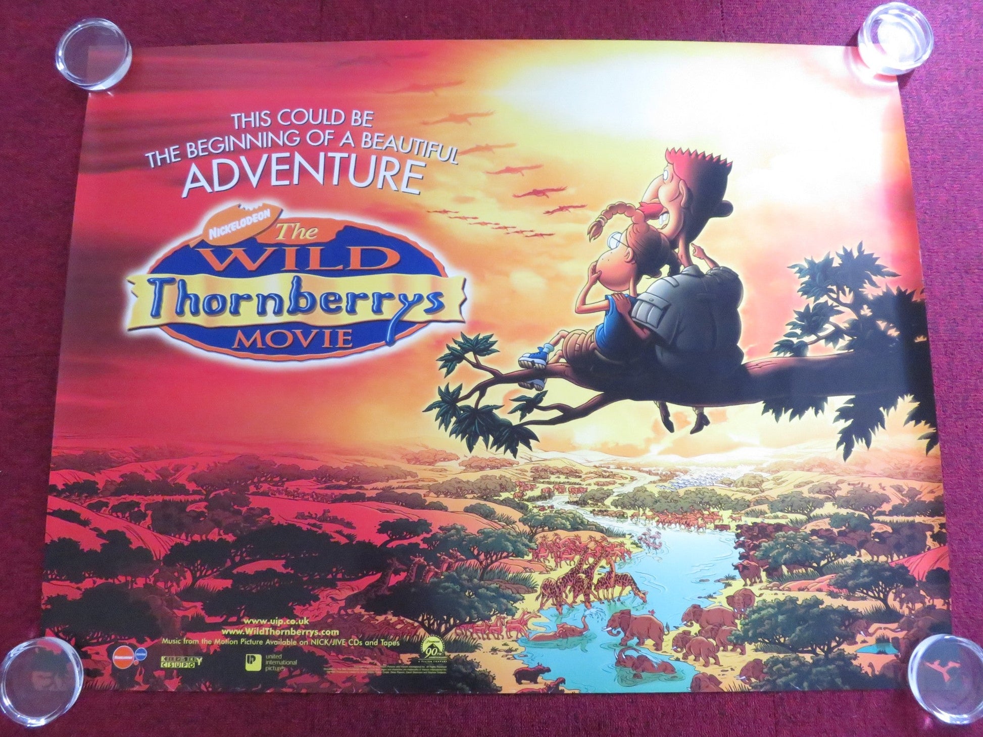 THE WILD THORNBERRYS UK QUAD ROLLED POSTER TIM CURRY LYNN REDGRAVE 2002 Rendezvous Cinema Movie posters
