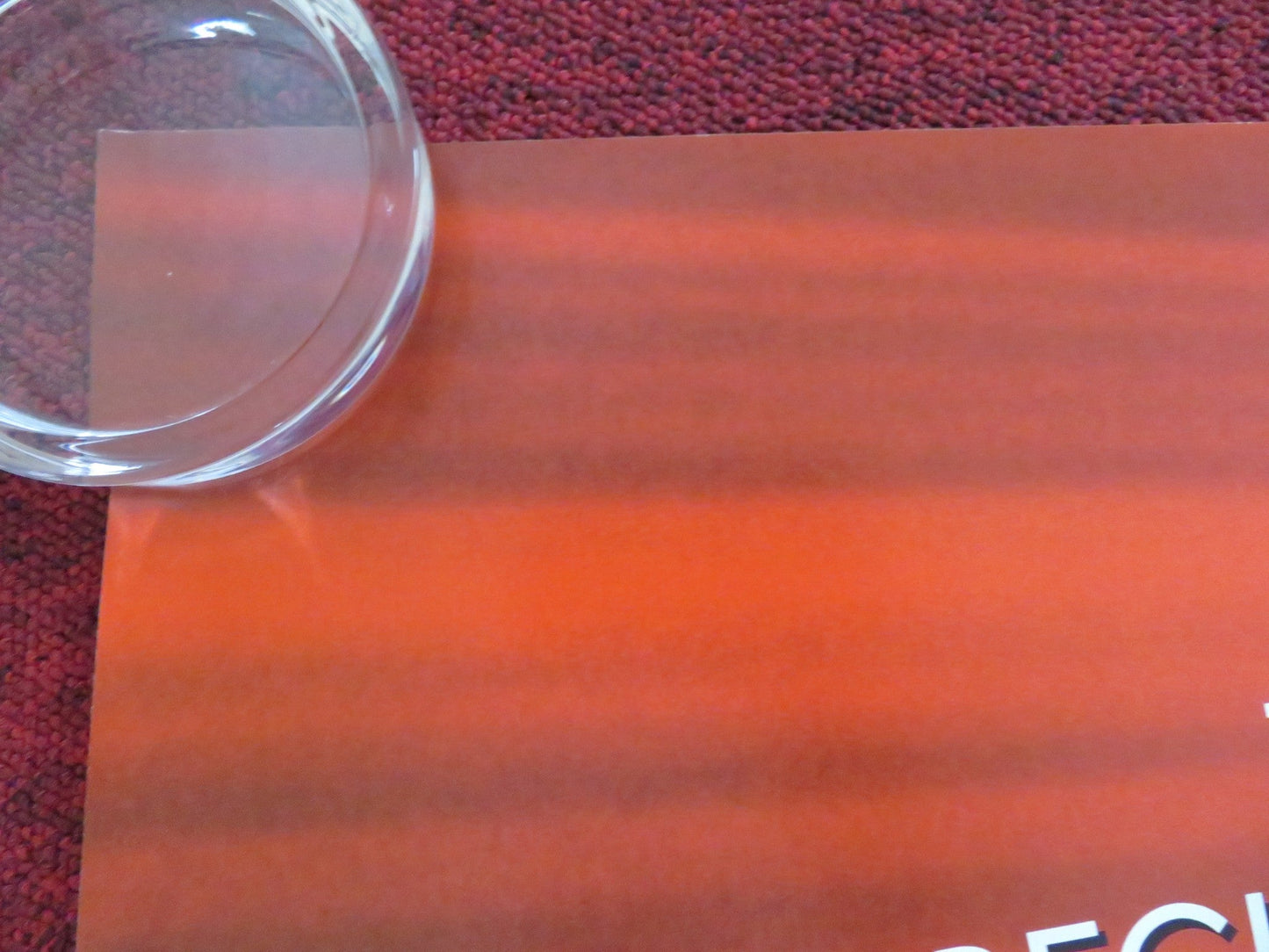 THE WILD THORNBERRYS UK QUAD ROLLED POSTER TIM CURRY LYNN REDGRAVE 2002 Rendezvous Cinema Movie posters