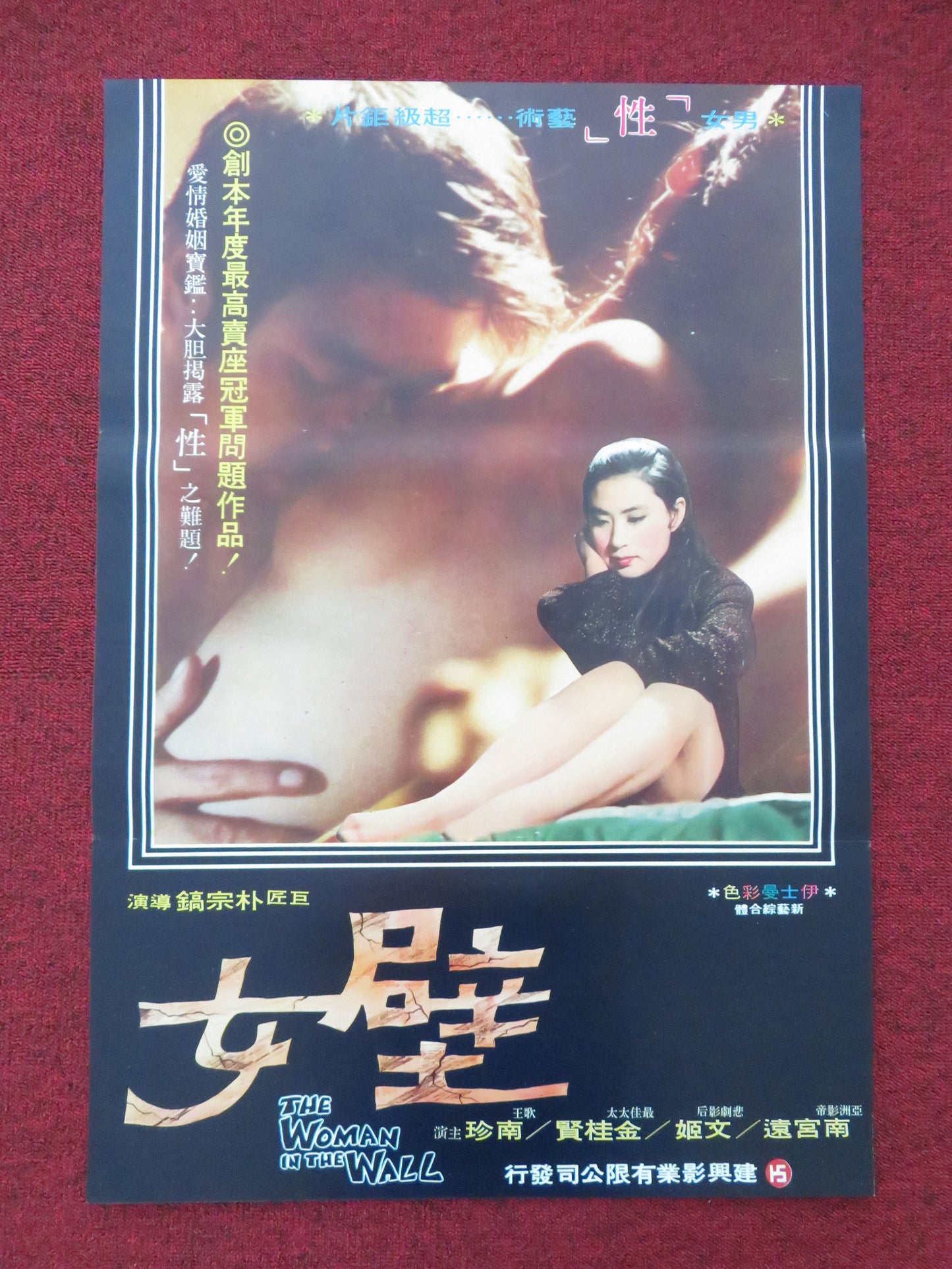 The Woman in the Wall - A Thai Rolled Poster Jin Nam Hie Mun 1970s Movie posters