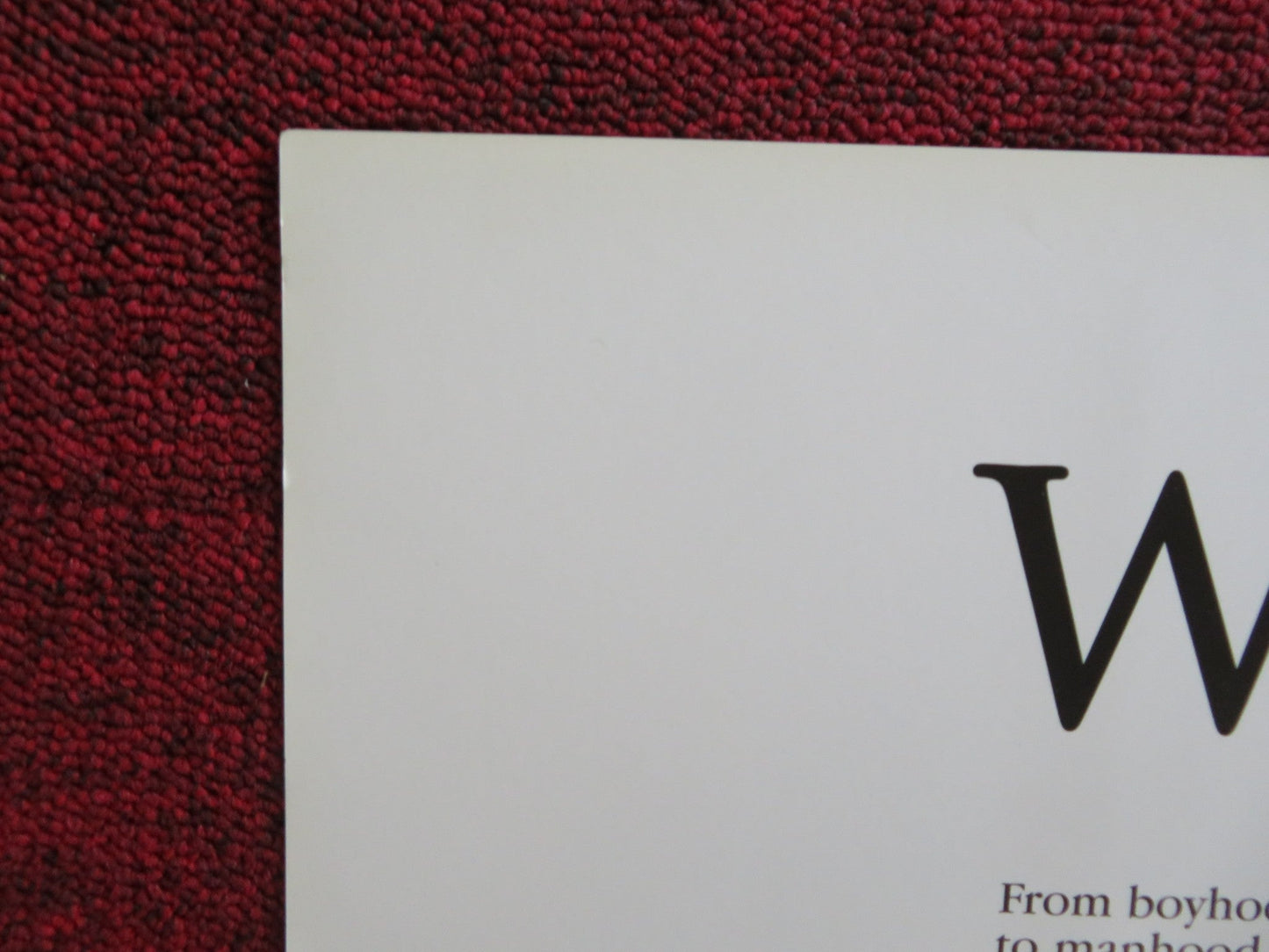 THE WOOD VHS VIDEO POSTER TAYE DIGGS OMAR EPPS 1999 Rendezvous Cinema Movie posters