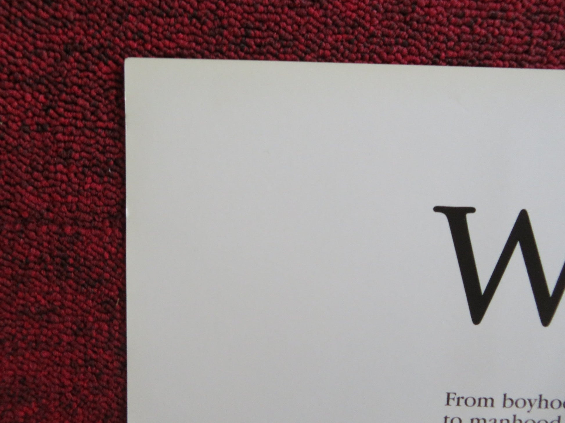 THE WOOD VHS VIDEO POSTER TAYE DIGGS OMAR EPPS 1999 Rendezvous Cinema Movie posters