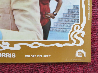 THE WORLD'S GREATEST LOVER - F ITALIAN FOTOBUSTA POSTER GENE WILDER KANE 1977 Rendezvous Cinema Movie posters