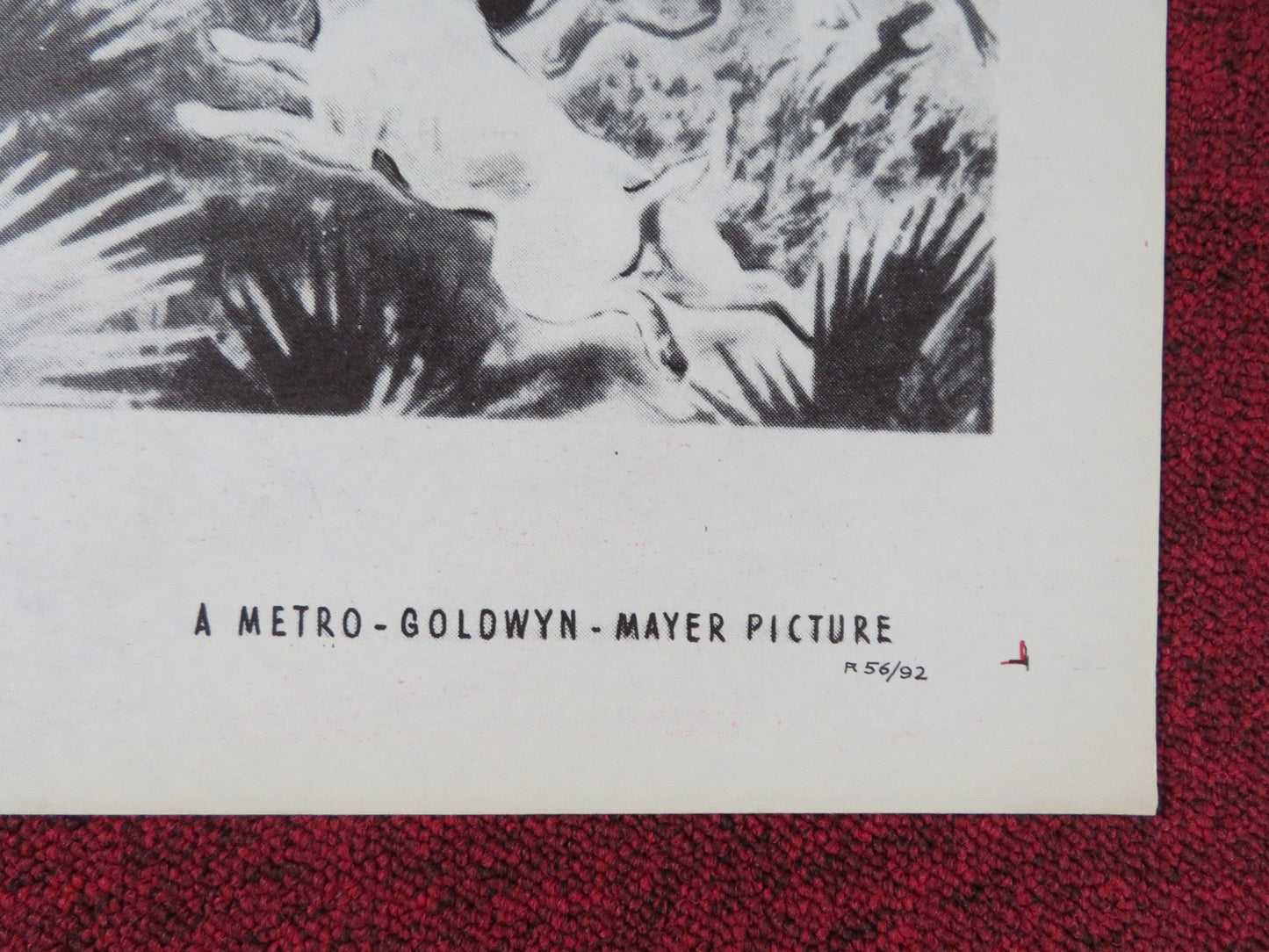 THE YEARLING FOLDED US ONE SHEET POSTER GREGORY PECK JANE WYMAN R1956 Rendezvous Cinema Movie posters