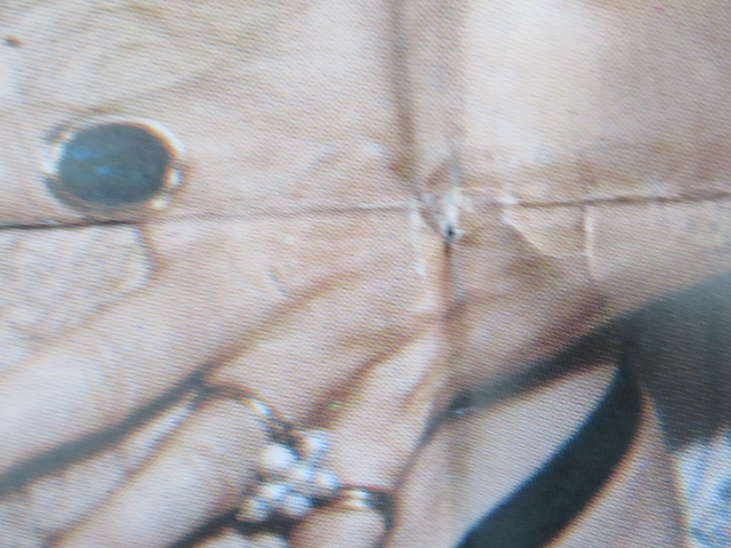 THE YELLOW HOUSE ON PINNASBERG GERMAN A1 POSTER FOLDED EDDIE ARENT 1970 Rendezvous Cinema Movie posters