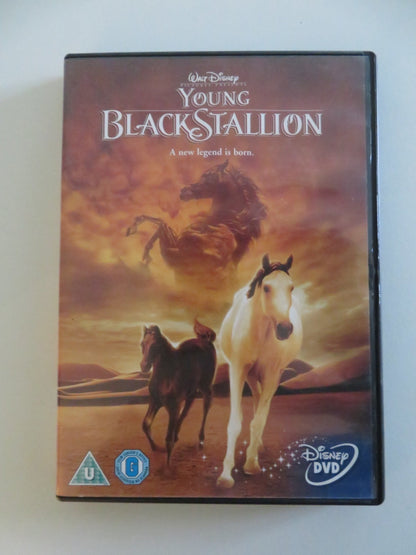 THE YOUNG BLACK STALLION (DVD) DISNEY RICHARD ROMANUS BIANA TAMIMI 2003 REGION 2 Movie posters