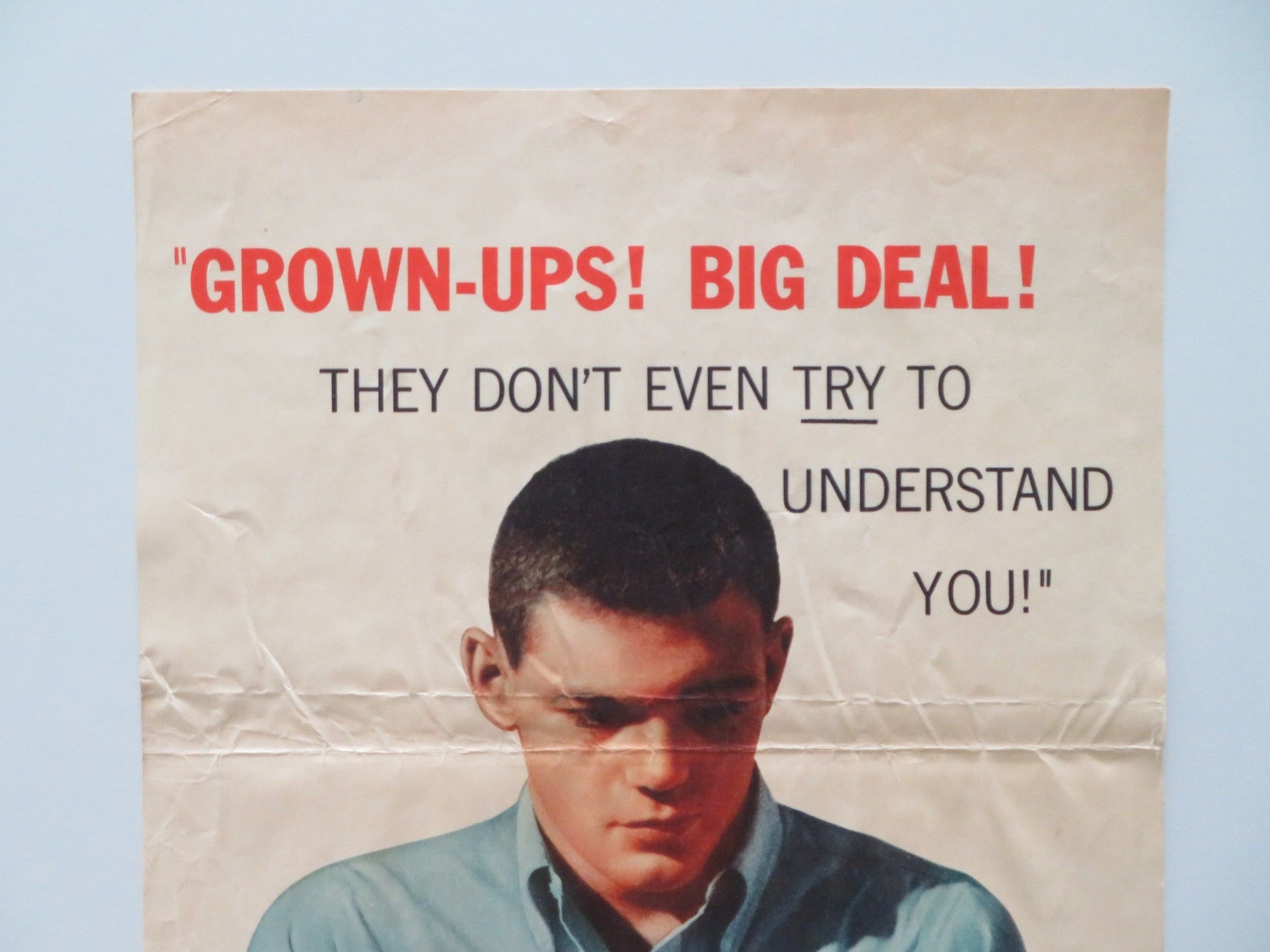 THE YOUNG STRANGER US INSERT POSTER JAMES MACARTHUR KIM HUNTER 1956 Rendezvous Cinema Movie posters