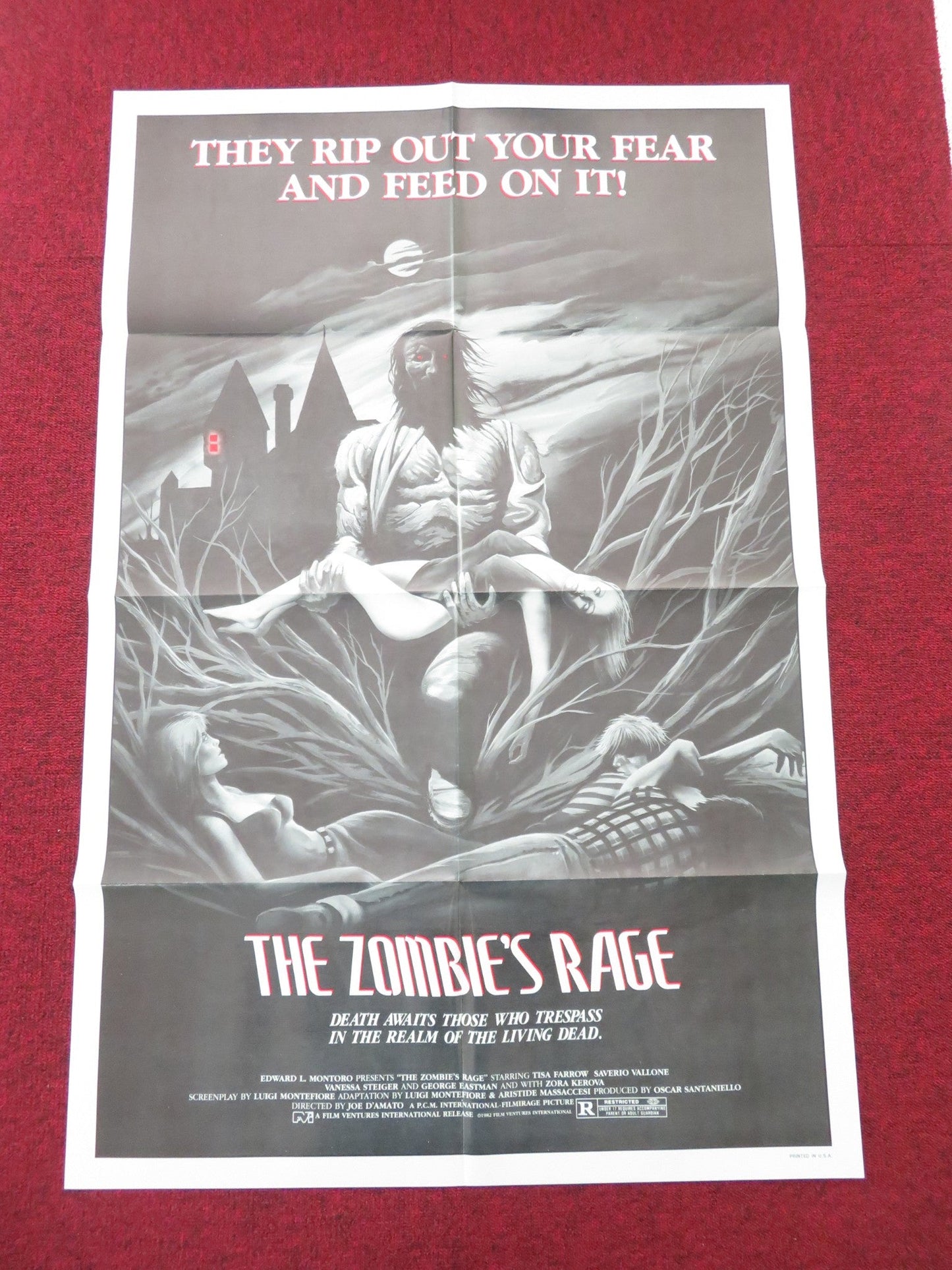 The Zombie's Rage Folded US One Sheet Poster Tisa Farrow Saverio Vallone 1985 Movie posters