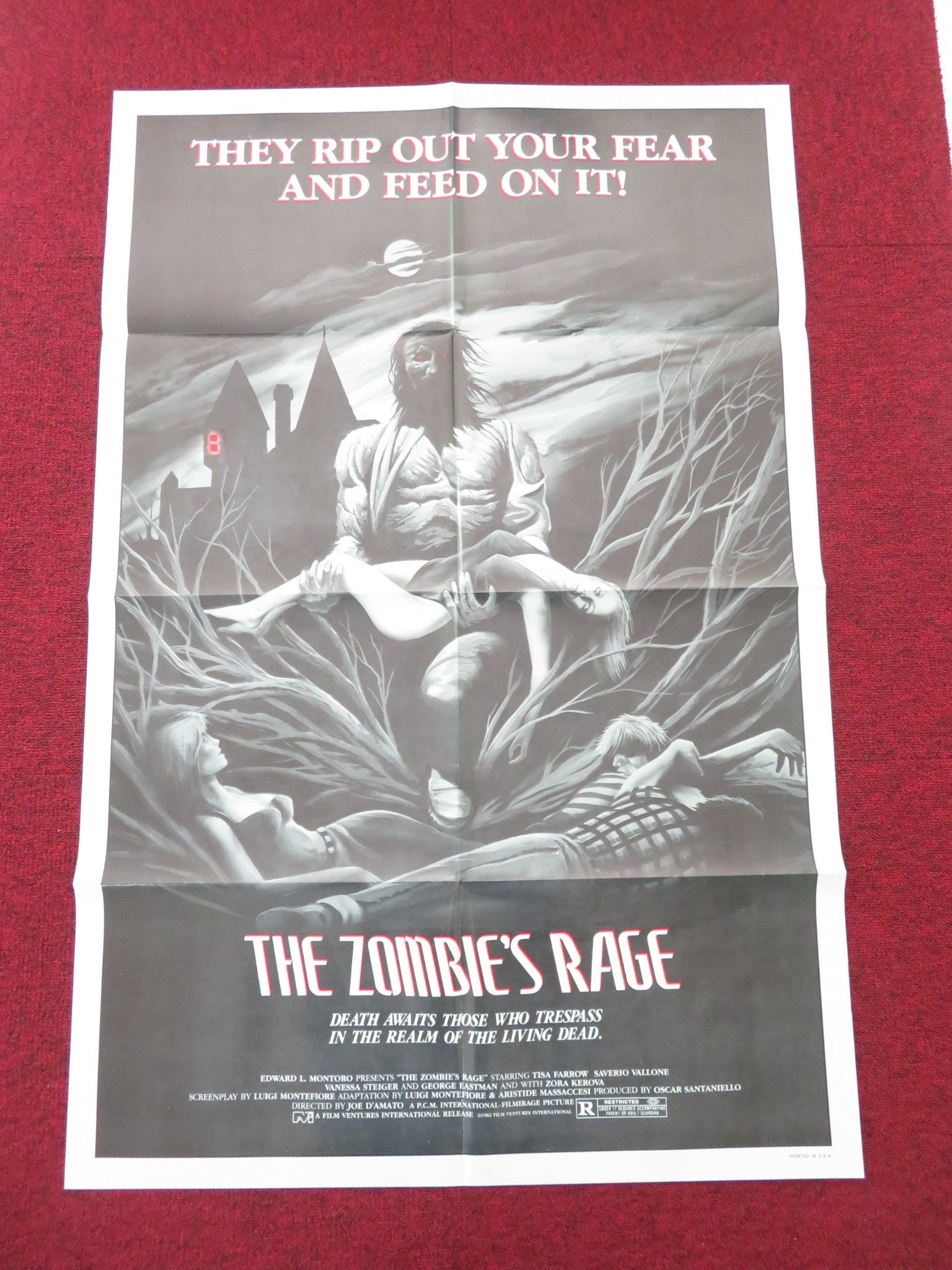 The Zombie's Rage Folded US One Sheet Poster Tisa Farrow Saverio Vallone 1985 Movie posters