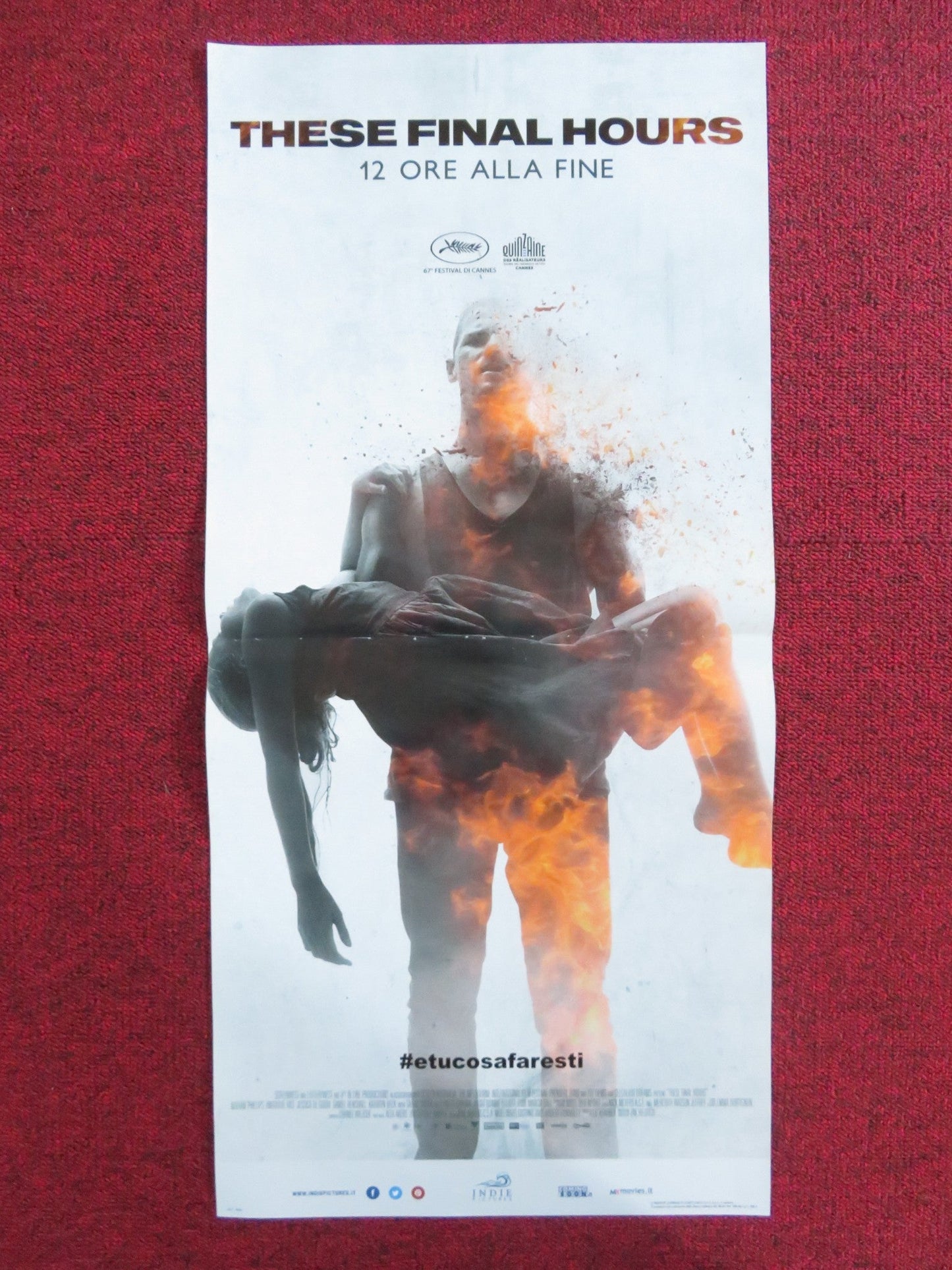 THESE FINAL HOURS - 12 ORE ALLA FINE ITALIAN LOCANDINA POSTER N. PHILLIPS 2013 Rendezvous Cinema Movie posters