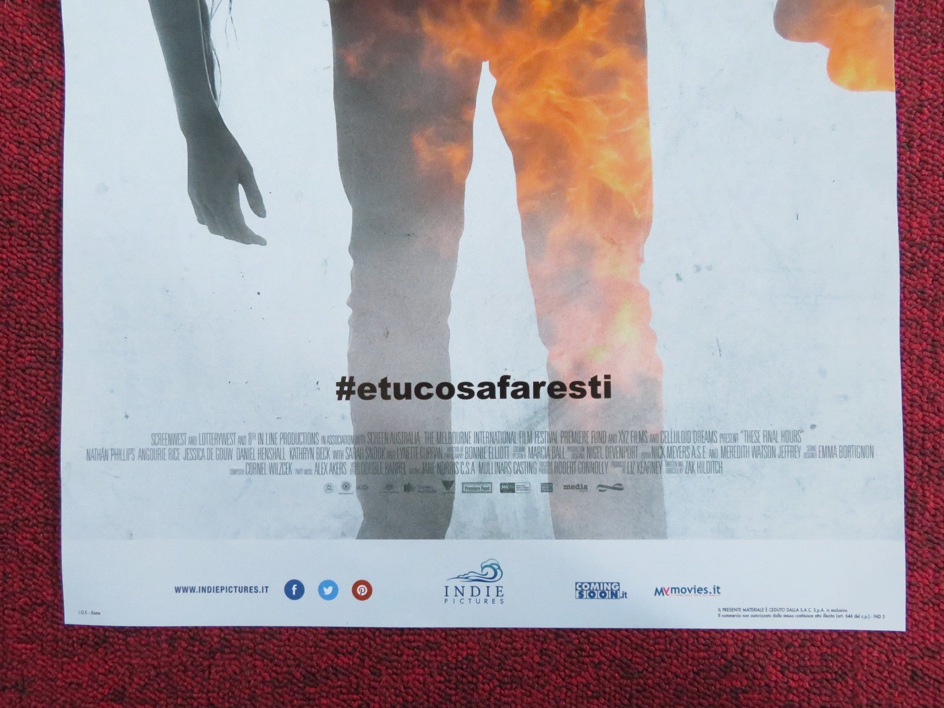 THESE FINAL HOURS - 12 ORE ALLA FINE ITALIAN LOCANDINA POSTER N. PHILLIPS 2013 Rendezvous Cinema Movie posters