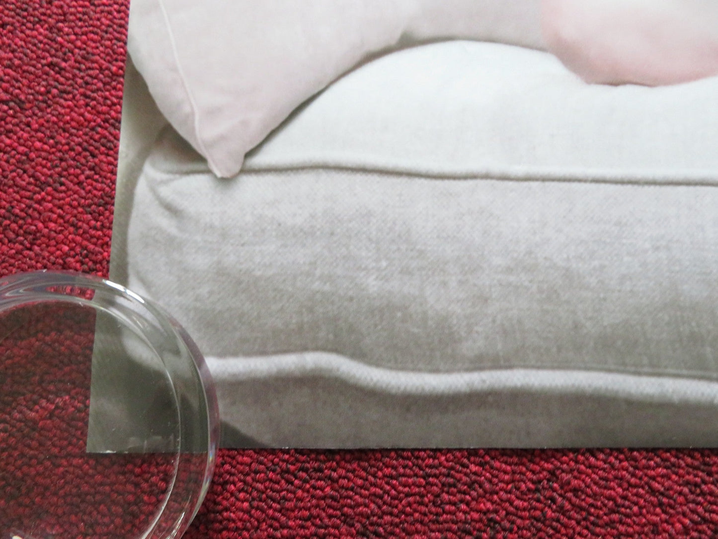 THOROUGHBREDS UK QUAD ROLLED POSTER ANYA TAYLOR - JOY ANTON YELCHIN 2017 Rendezvous Cinema Movie posters