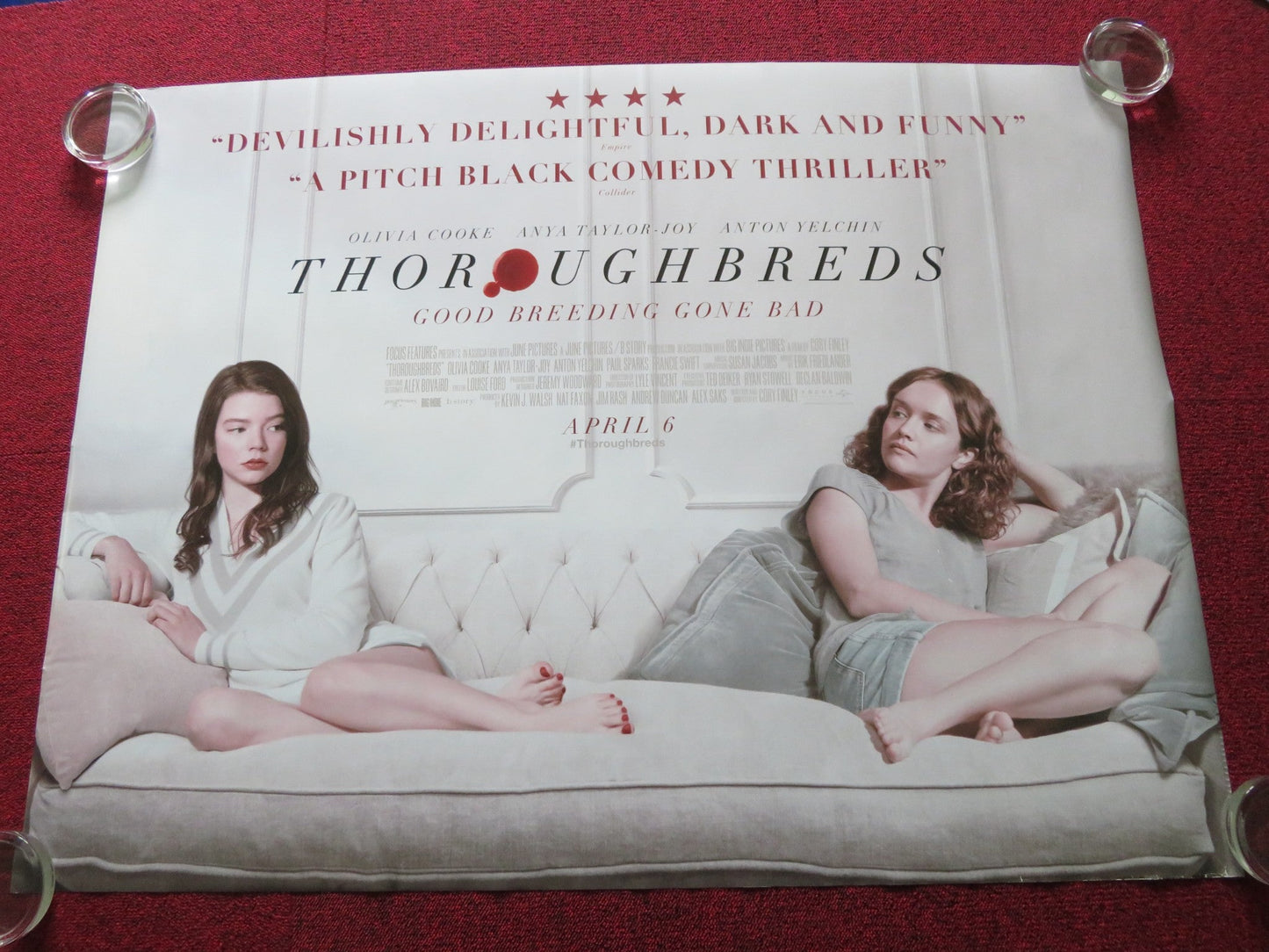 THOROUGHBREDS UK QUAD ROLLED POSTER ANYA TAYLOR - JOY ANTON YELCHIN 2017 Rendezvous Cinema Movie posters