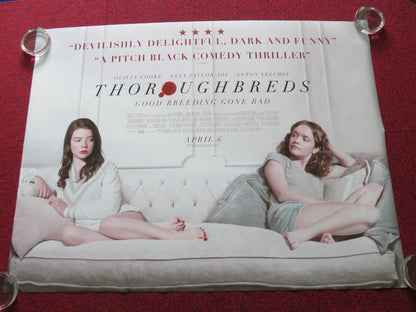 THOROUGHBREDS UK QUAD ROLLED POSTER ANYA TAYLOR - JOY ANTON YELCHIN 2017 Rendezvous Cinema Movie posters