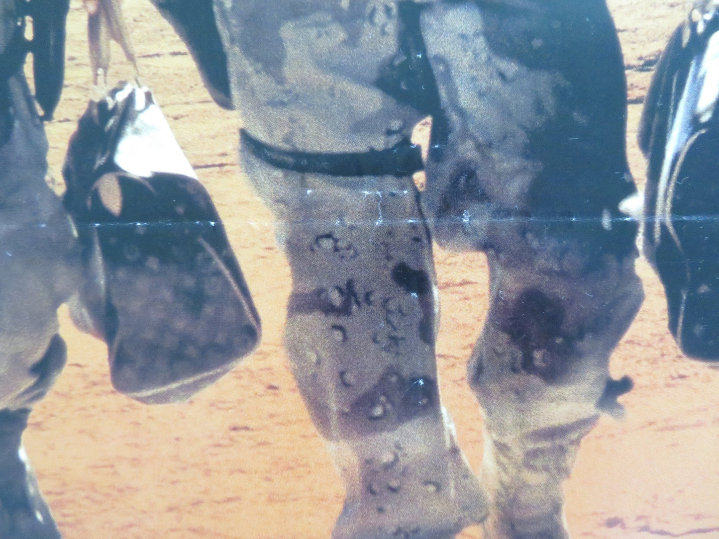 THREE KINGS VHS VIDEO POSTER GEORGE CLOONEY MARK WAHLBERG 1999 Rendezvous Cinema Movie posters