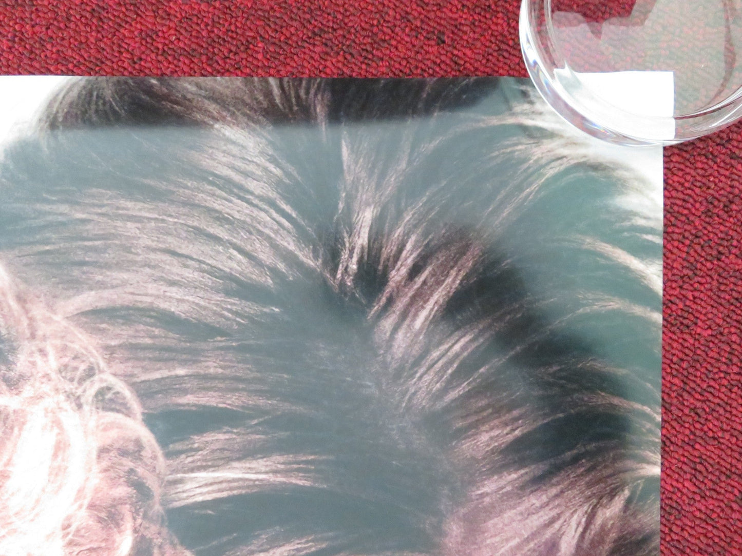 TITANIC - 25TH ANNIVERSARY - A US ONE SHEET ROLLED POSTER LEONARDO DICAPRIO 2023 Movie posters