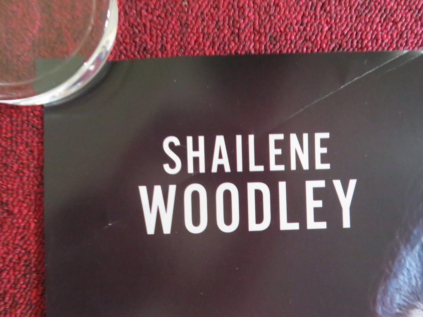 TO CATCH A KILLER US ONE SHEET ROLLED POSTER SHAILENE WOODLEY B. MENDELSOHN 2023 Rendezvous Cinema Movie posters