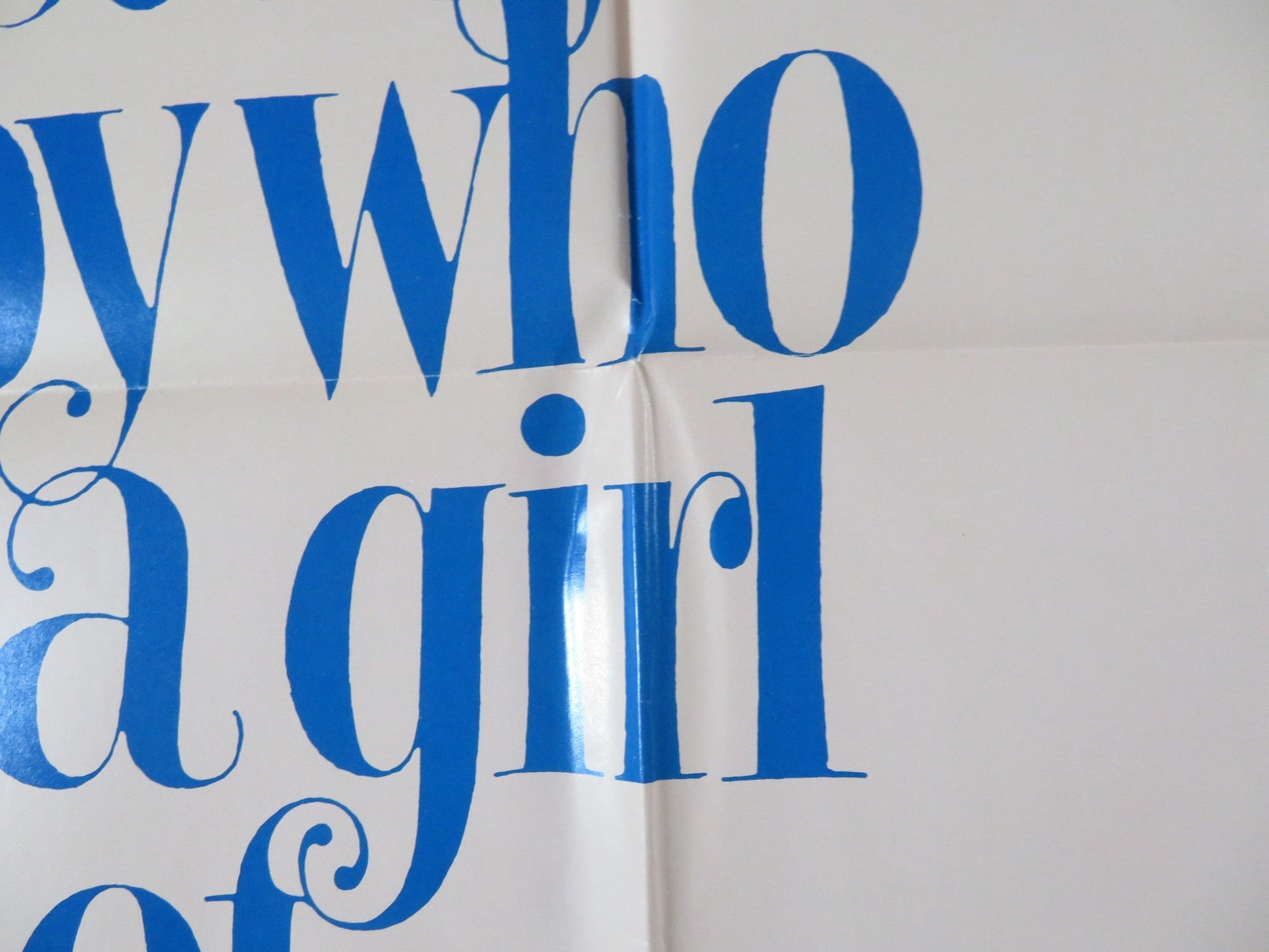 TO FIND A MAN FOLDED US ONE SHEET POSTER PAMELA SUE MARTIN DARREN O'CONNOR 1971 Rendezvous Cinema Movie posters