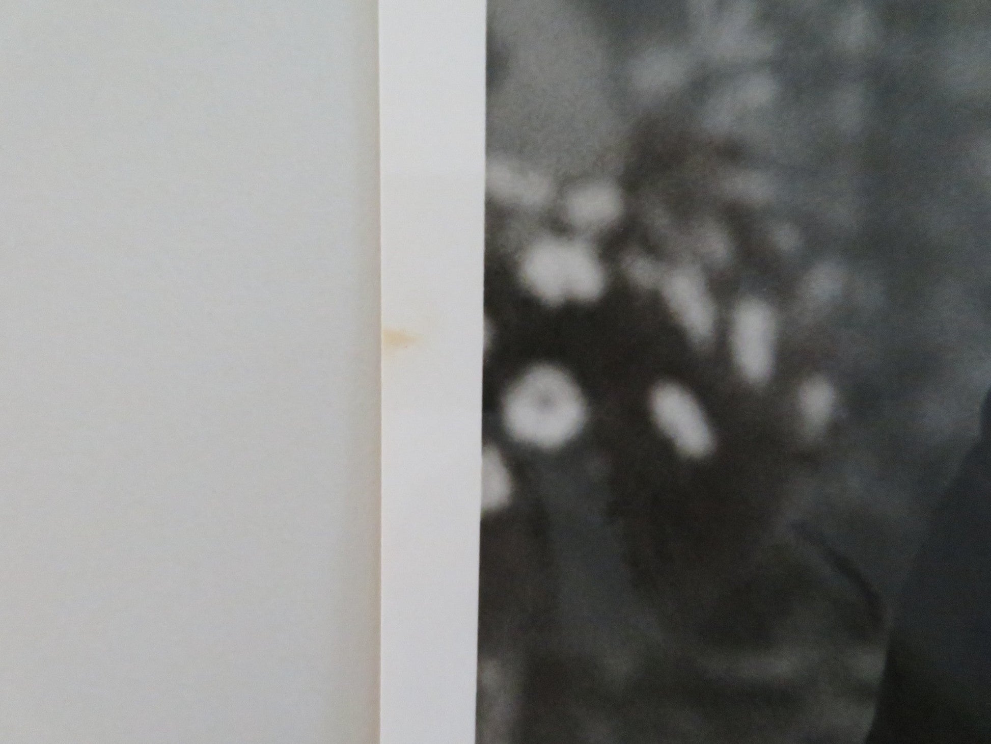 TO KILL A PRIEST MOVIE STILL PHOTO LOT OF 5 CHRISTOPHER LAMBERT TIM ROTH 1988 Movie posters