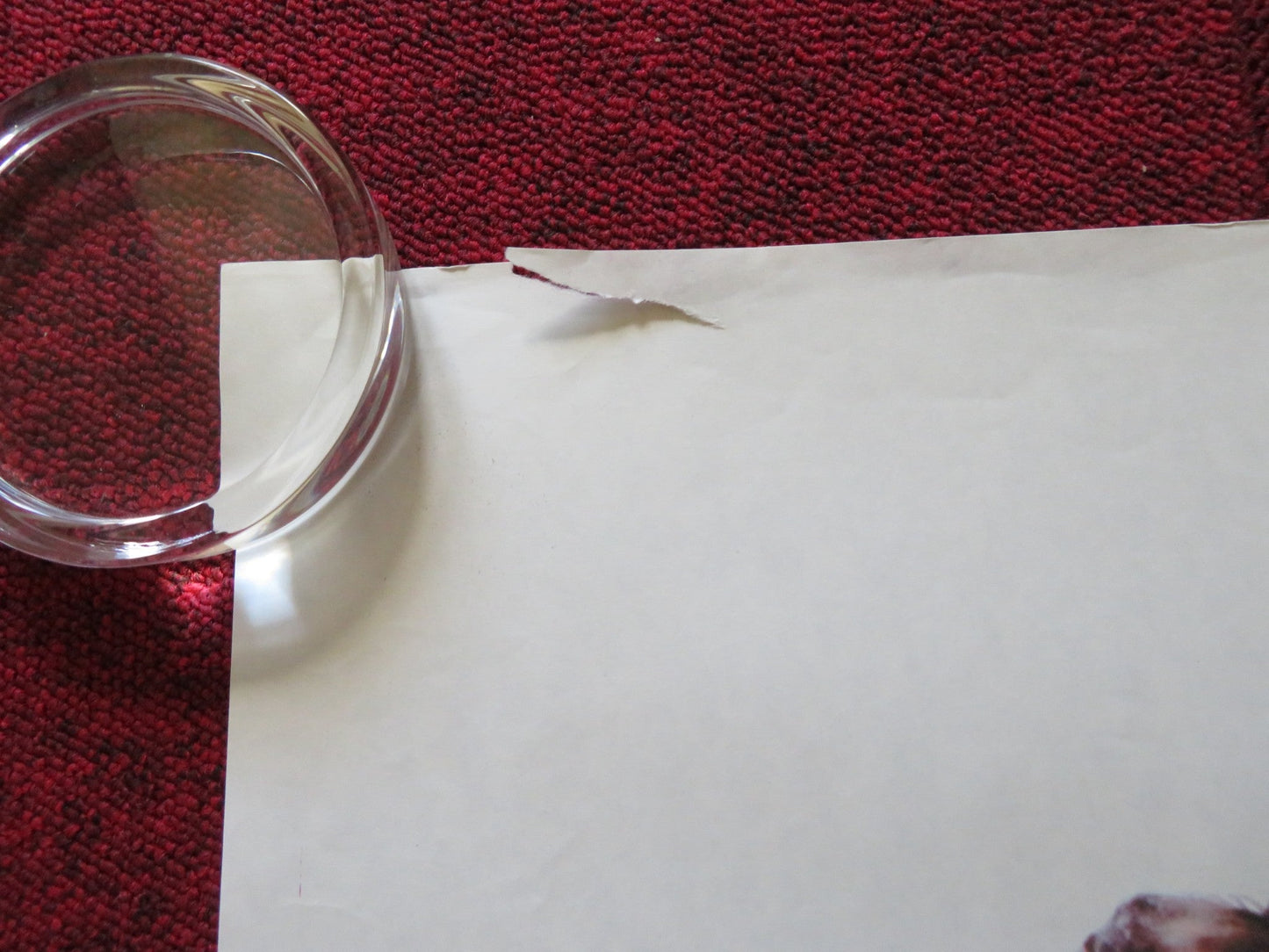 TOOTSIE UK QUAD ROLLED POSTER DUSTIN HOFFMAN JESSICA LANGE 1982 Rendezvous Cinema Movie posters