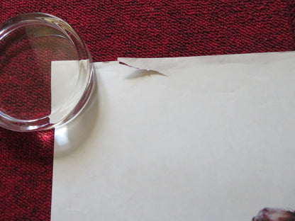 TOOTSIE UK QUAD ROLLED POSTER DUSTIN HOFFMAN JESSICA LANGE 1982 Rendezvous Cinema Movie posters