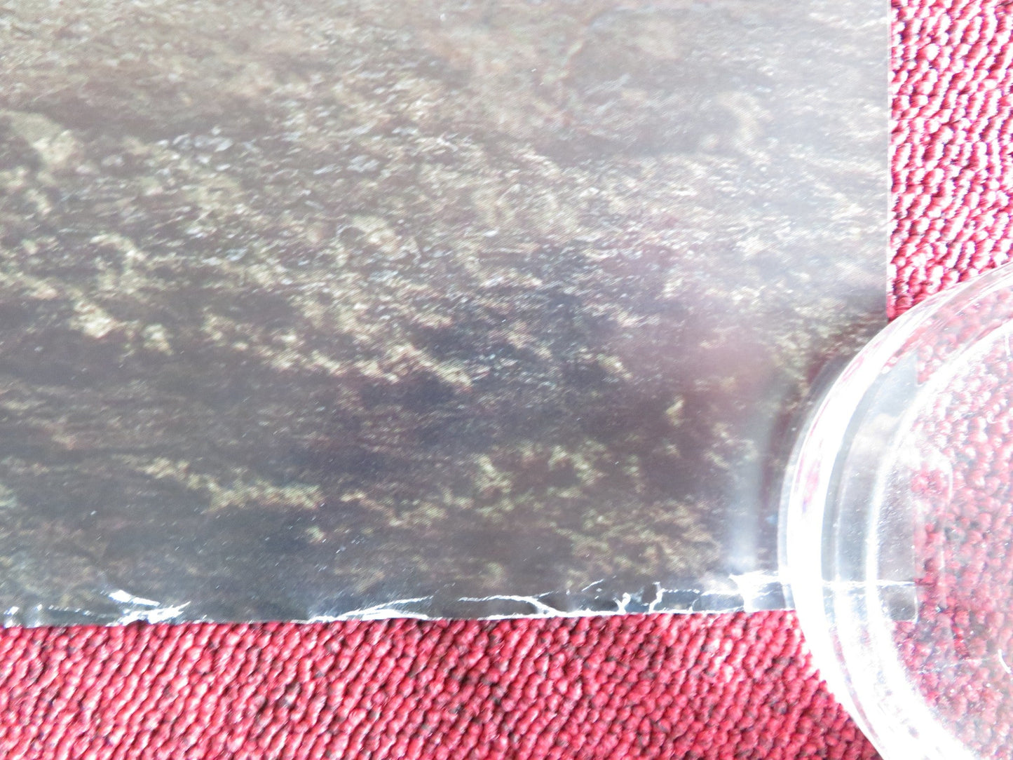 TRANSFORMERS: AGE OF EXTINCTION UK QUAD ROLLED POSTER MARK WAHLBERG 2014 Rendezvous Cinema Movie posters