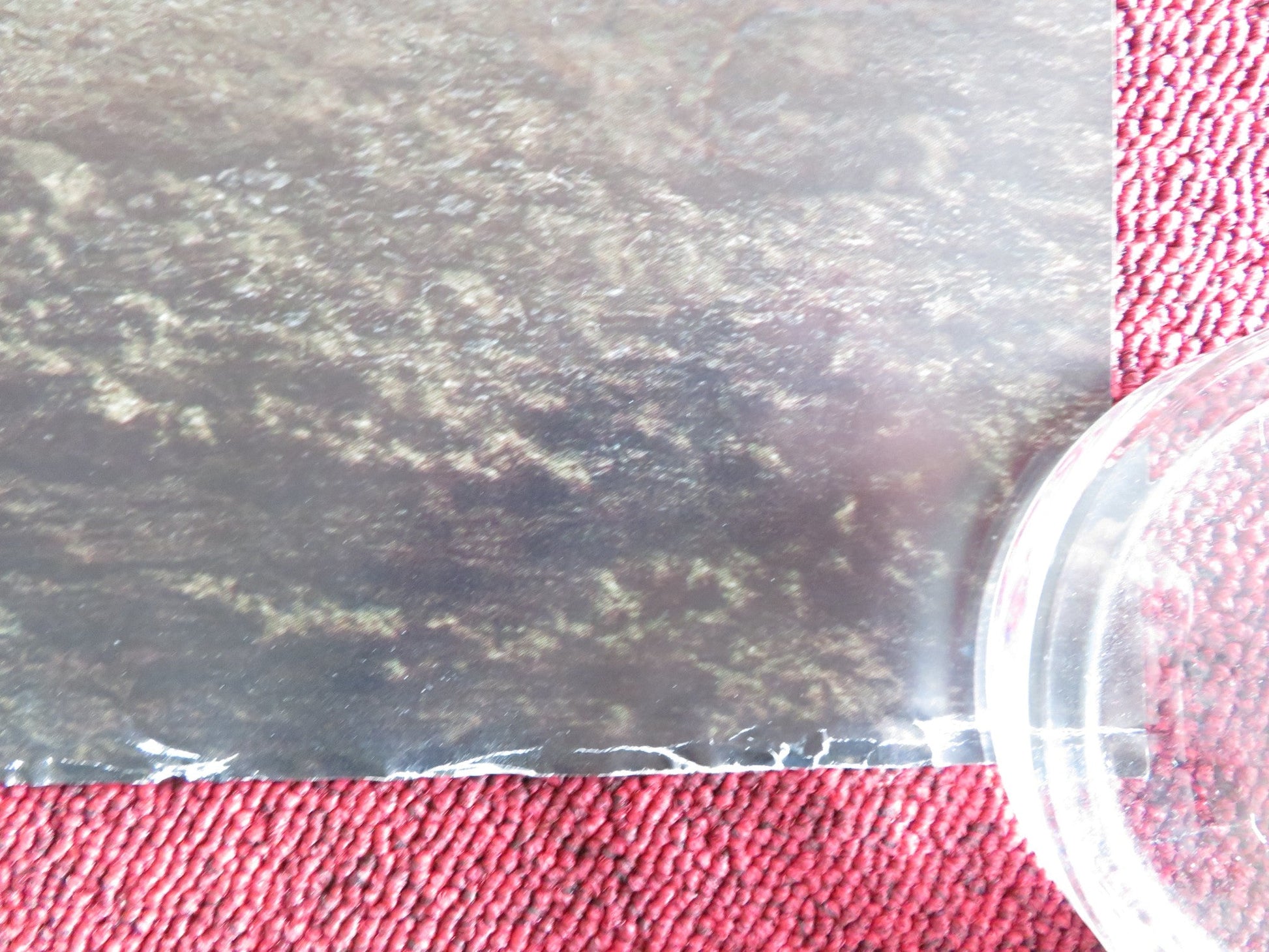 TRANSFORMERS: AGE OF EXTINCTION UK QUAD ROLLED POSTER MARK WAHLBERG 2014 Rendezvous Cinema Movie posters