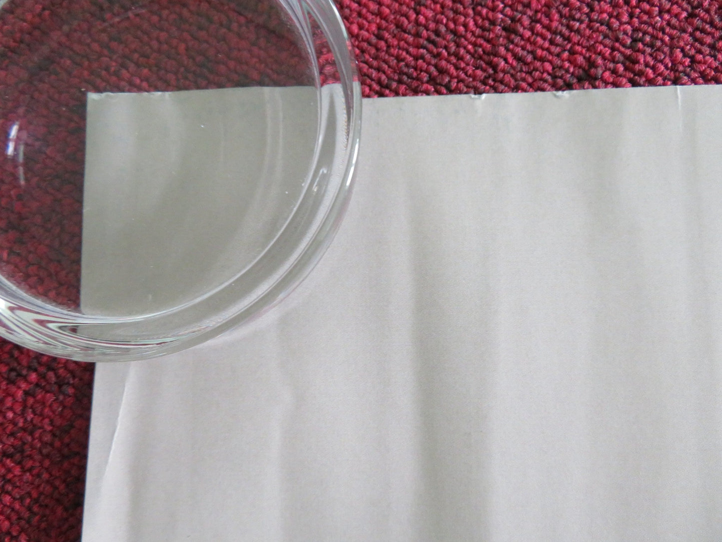 TRIANGLE OF SADNESS UK QUAD ROLLED POSTER WOODY HARRELSON HARRIS DICKINSON 2022 Rendezvous Cinema Movie posters