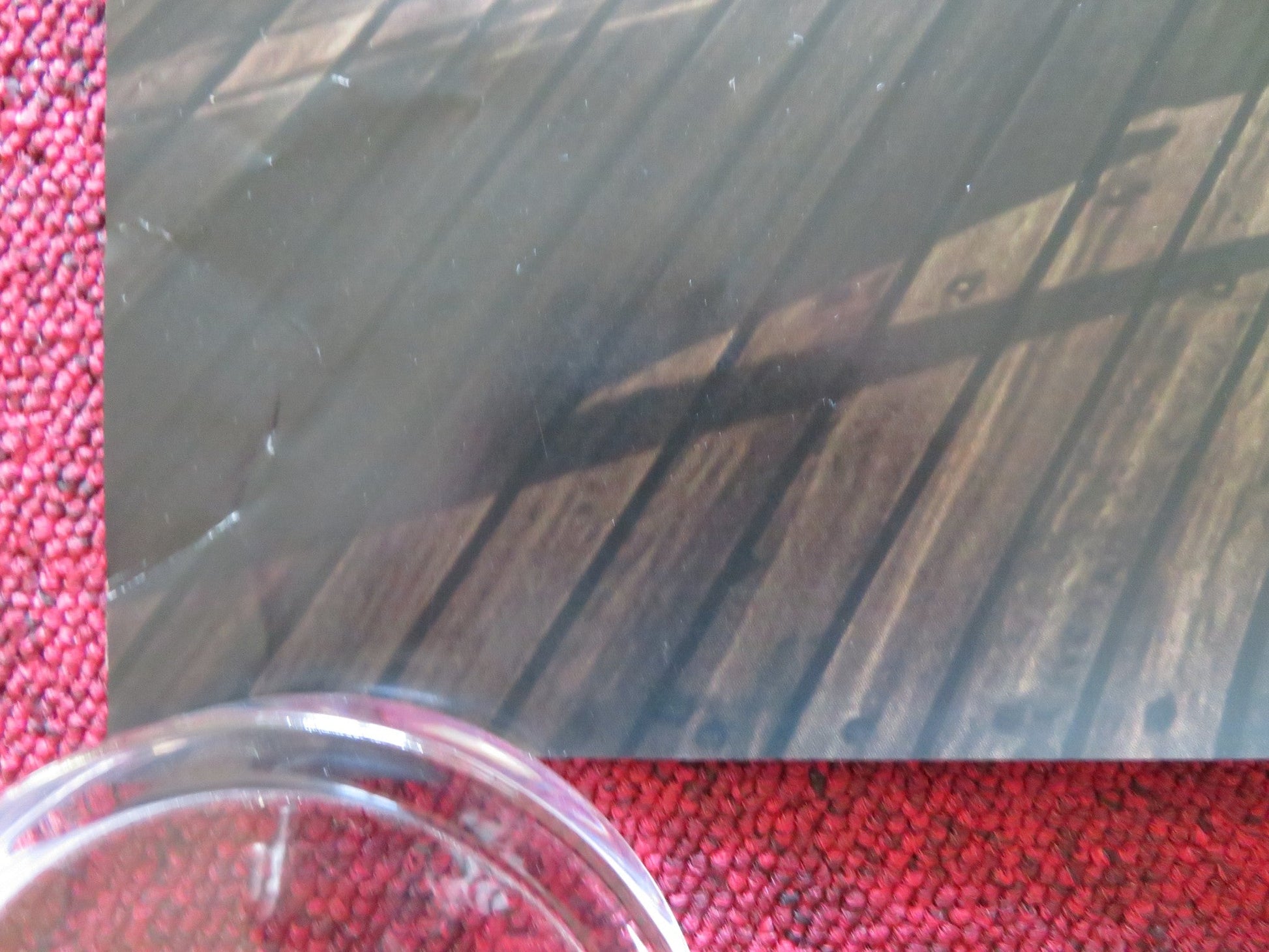 TRIANGLE OF SADNESS US ONE SHEET ROLLED POSTER THOBIAS THORWID 2022 Rendezvous Cinema Movie posters