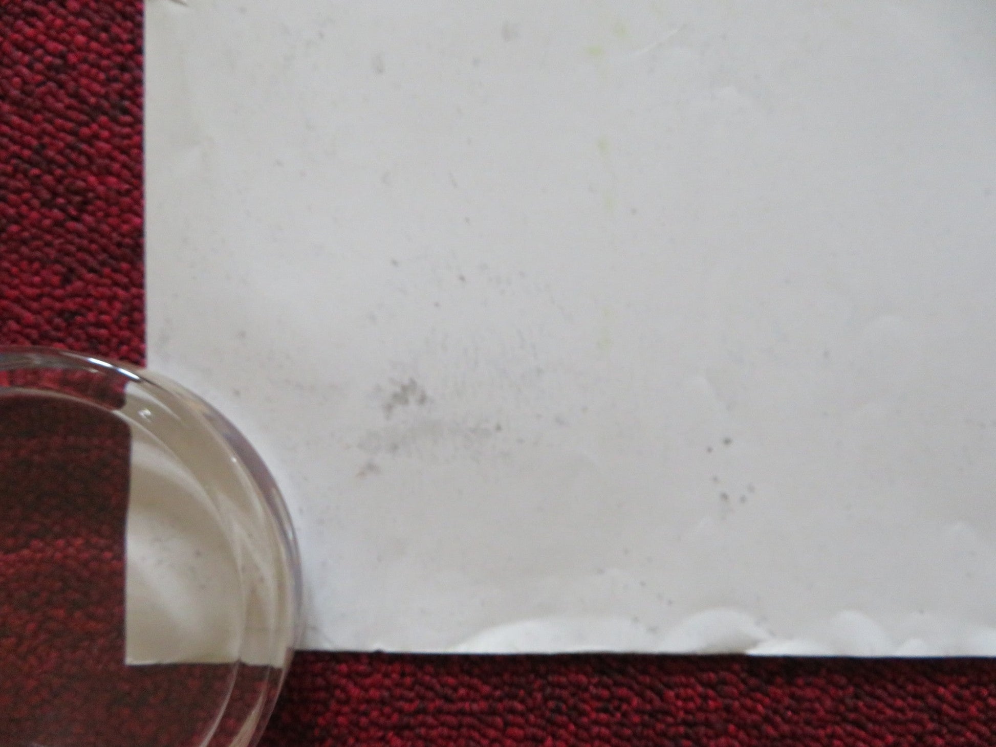 TRUTH OR DARE UK QUAD ROLLED POSTER LUCY HALE TYLER POSEY 2018 Rendezvous Cinema Movie posters