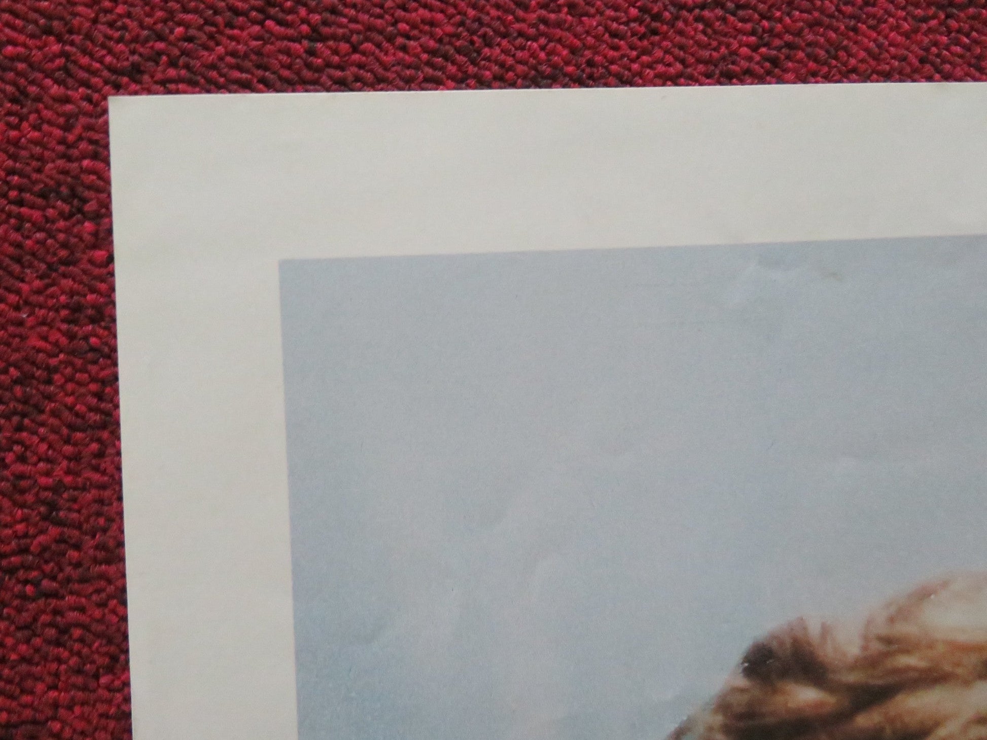 TUFF TURF FOLDED US ONE SHEET POSTER JAMES SPADER KIM RICHARDS 1984 Movie posters