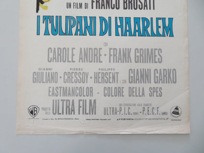 TULIPS OF HAARLEM ITALIAN LOCANDINA POSTER CAROLE ANDRE FRANK GRIMES 1970 Movie posters