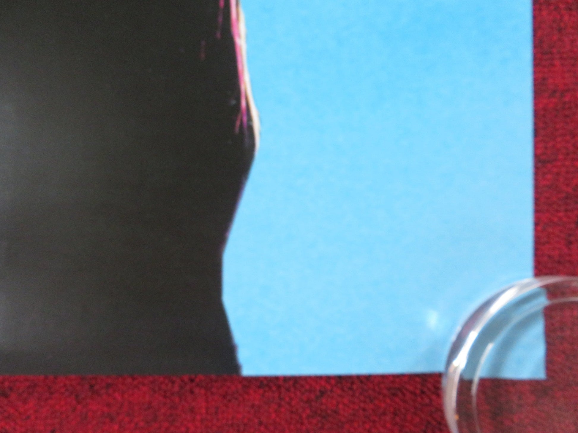 TURTLES CAN FLY US ONE SHEET ROLLED POSTER SORAN EBRAHIM AVAZ LATIF 2004 Rendezvous Cinema Movie posters