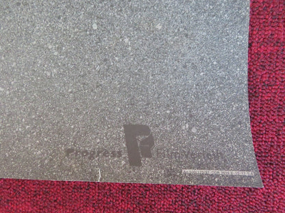 TWENTY SIX DAYS FROM THE LIFE OF DOSTOYEVSKY GERMAN POSTER ROLLED SIMONOVA 1981 Rendezvous Cinema Movie posters