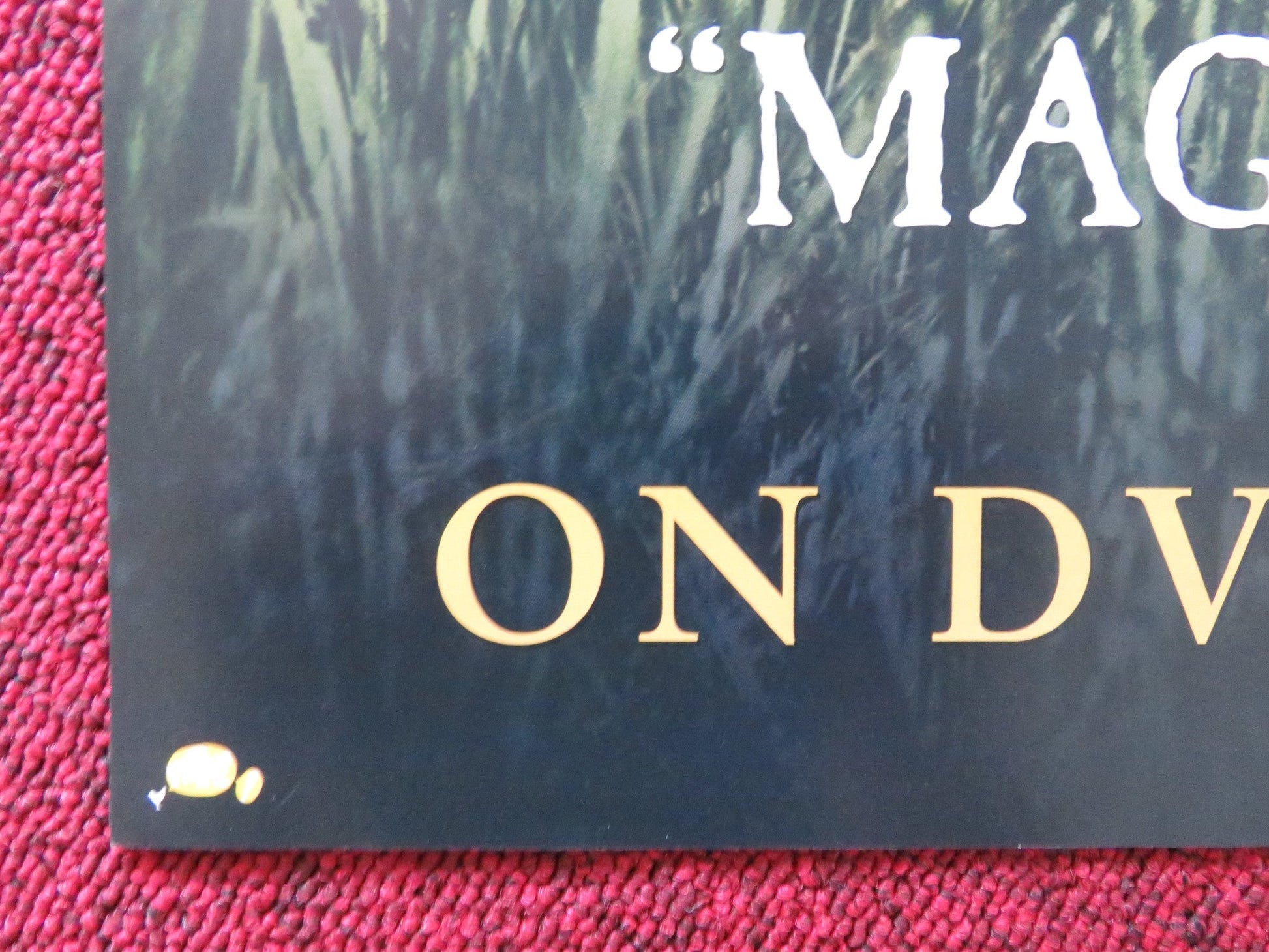 TWO BROTHERS VHS & DVD VIDEO POSTER GUY PEARCE FREDDIE HIGHMORE 2004 Rendezvous Cinema Movie posters