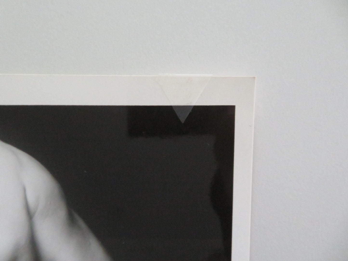 Two Moon Junction - C MOVIE STILL PHOTO LOT OF 2 SHERILYN FENN RICHARD TYSON 1988 Movie posters