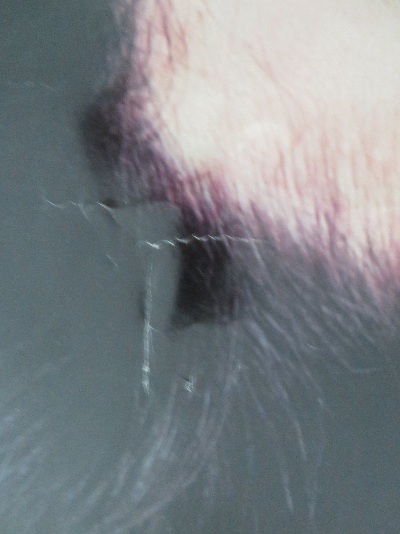 TWO OF A KIND ALBUM PROMO POSTER ROLLED JOHN TRAVOLTA OLIVIA NEWTON JOHN 1983 Movie posters