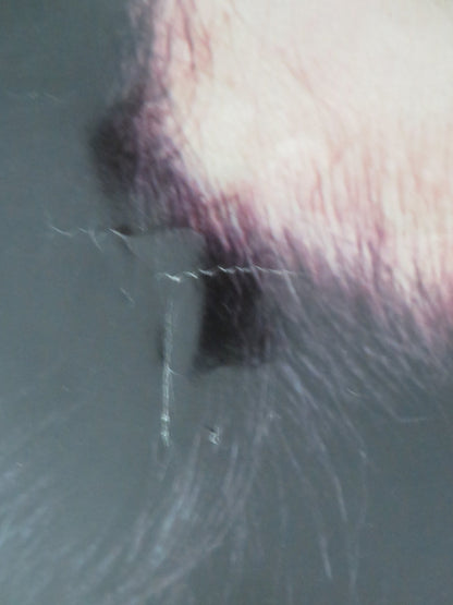 TWO OF A KIND ALBUM PROMO POSTER ROLLED JOHN TRAVOLTA OLIVIA NEWTON JOHN 1983 Movie posters