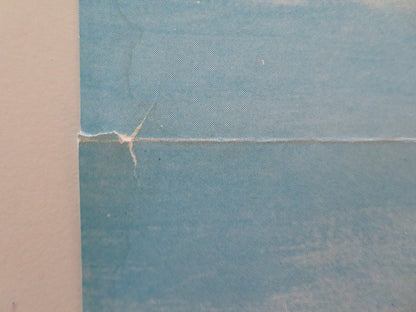 TWO SANE NUTS DANISH POSTER ROLLED ROBERT WIDMARK BOB GORDON 1975 Movie posters