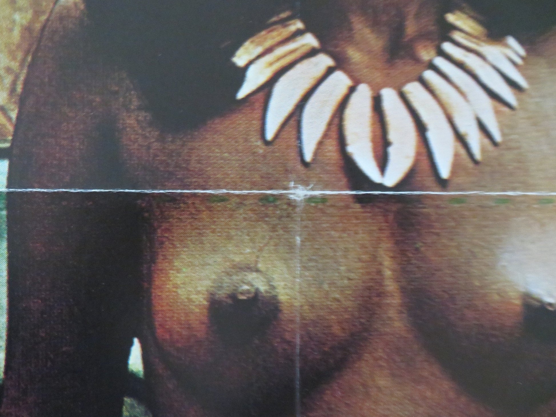 TWO SANE NUTS DANISH POSTER ROLLED ROBERT WIDMARK BOB GORDON 1975 Movie posters