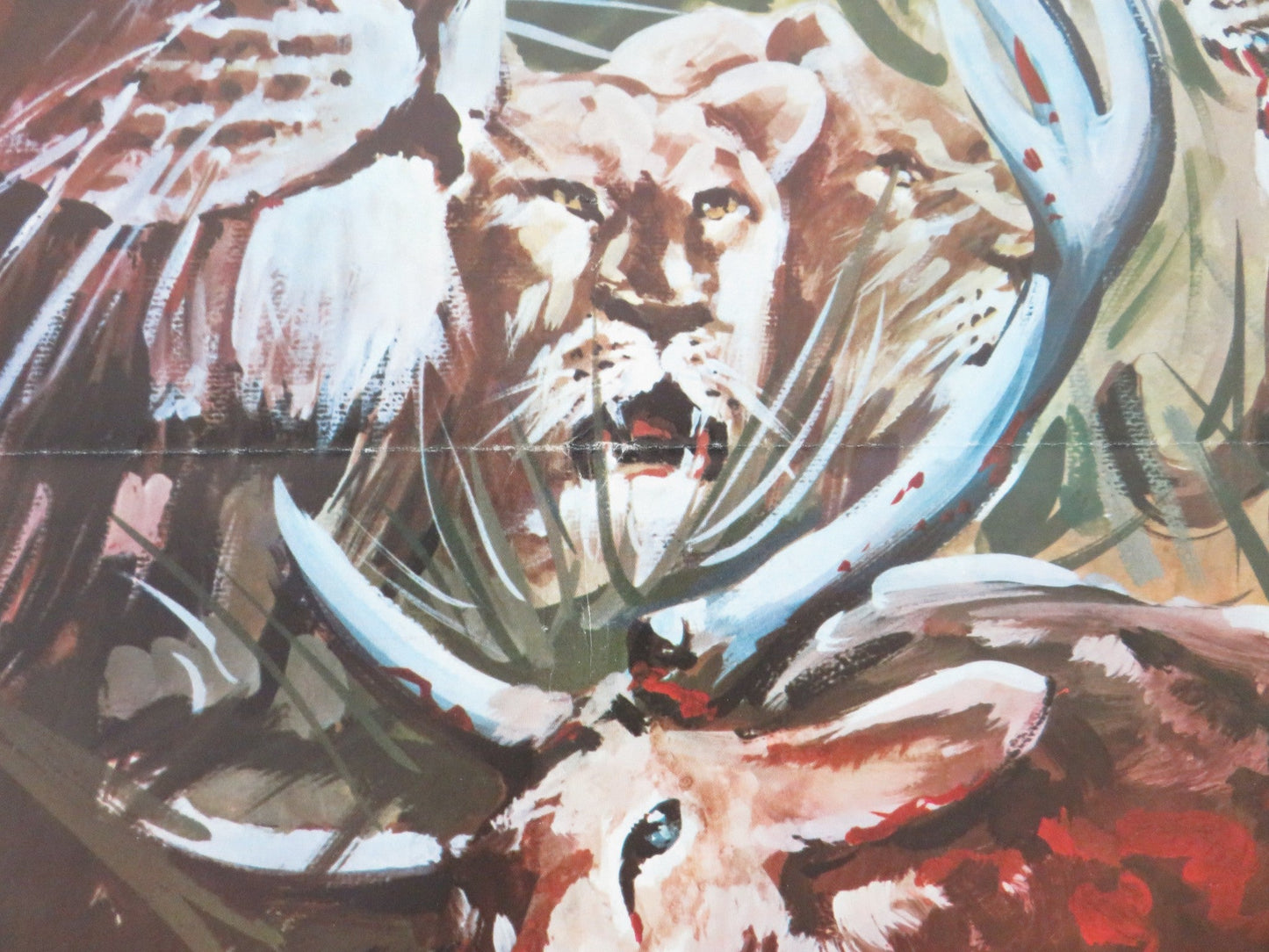 ULTIME GRIDA DALLA SAVANA ITALIAN ROLLED POSTER GUISEPPE RINALDI 1975 Movie posters