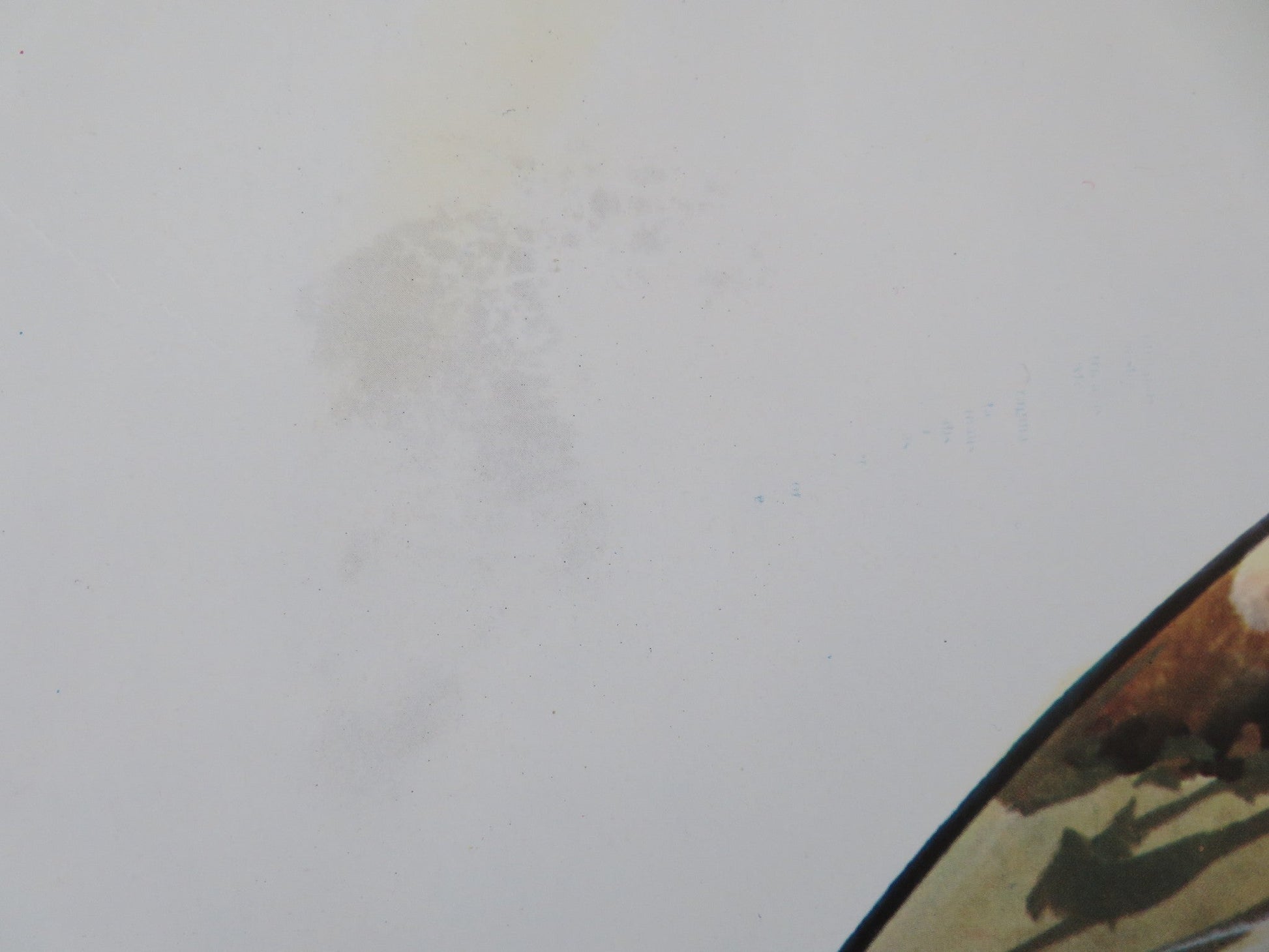 ULTIME GRIDA DALLA SAVANA ITALIAN ROLLED POSTER GUISEPPE RINALDI 1975 Movie posters