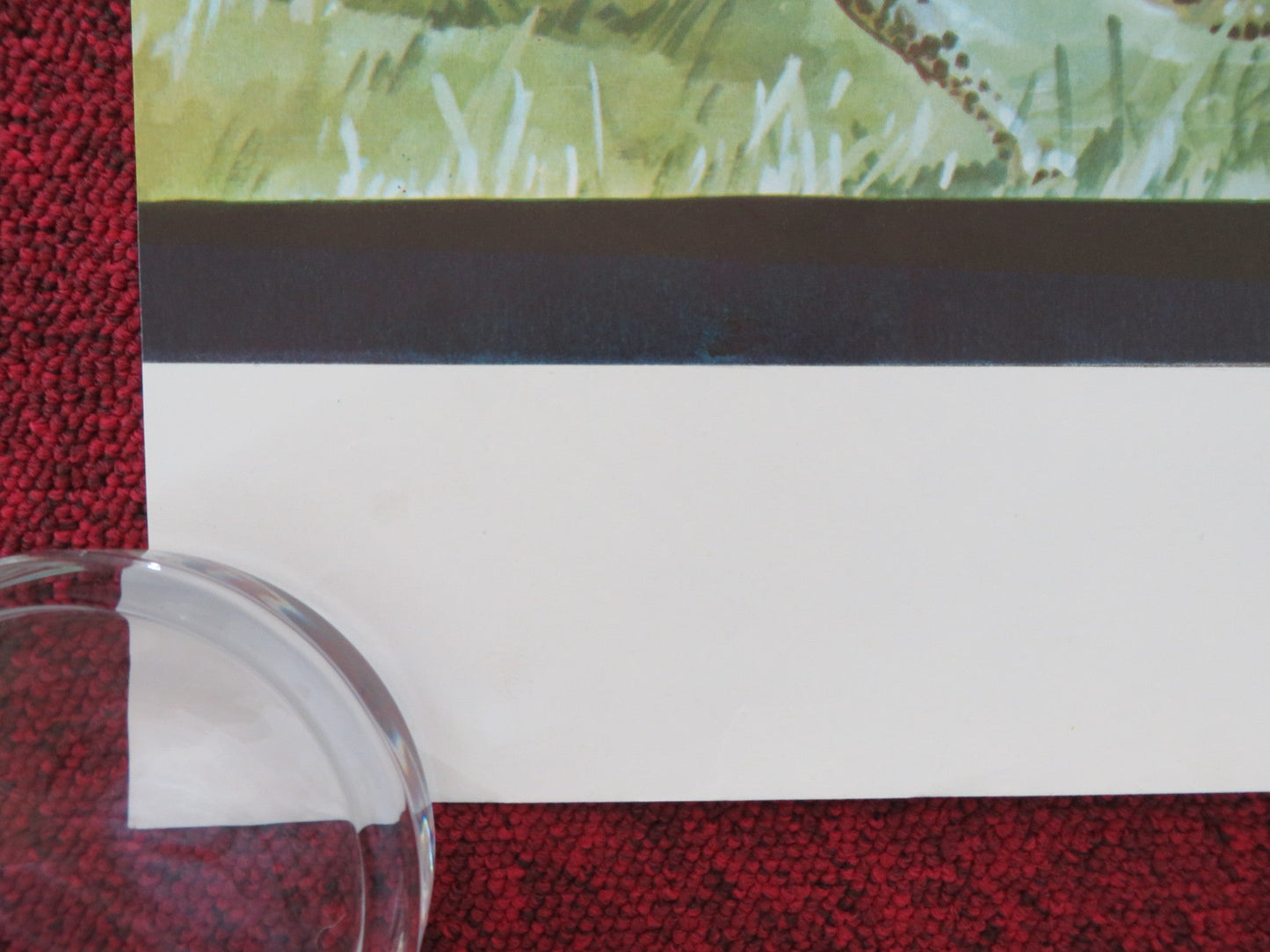 ULTIME GRIDA DALLA SAVANA ITALIAN ROLLED POSTER GUISEPPE RINALDI 1975 Movie posters