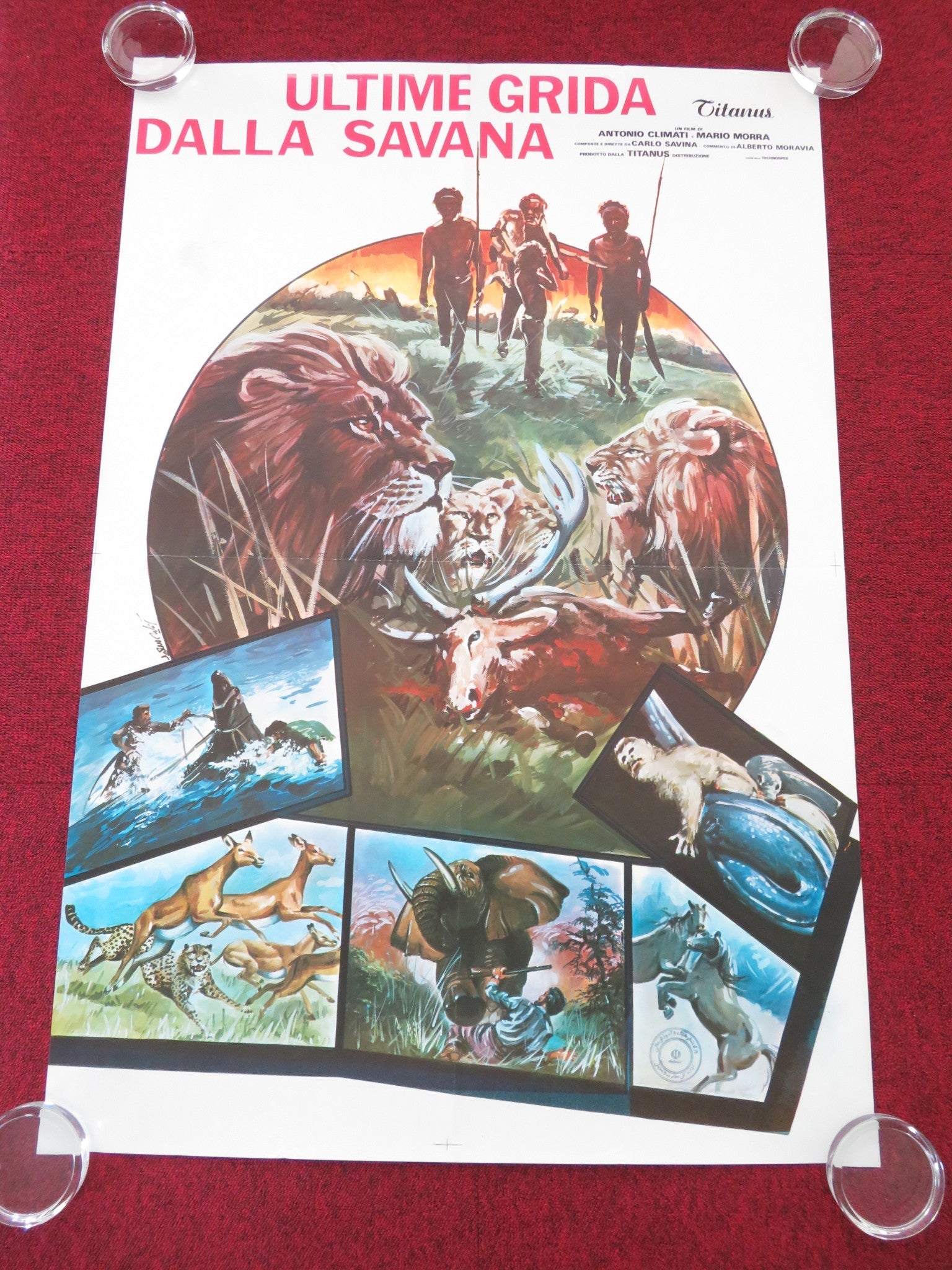 ULTIME GRIDA DALLA SAVANA ITALIAN ROLLED POSTER GUISEPPE RINALDI 1975 Movie posters