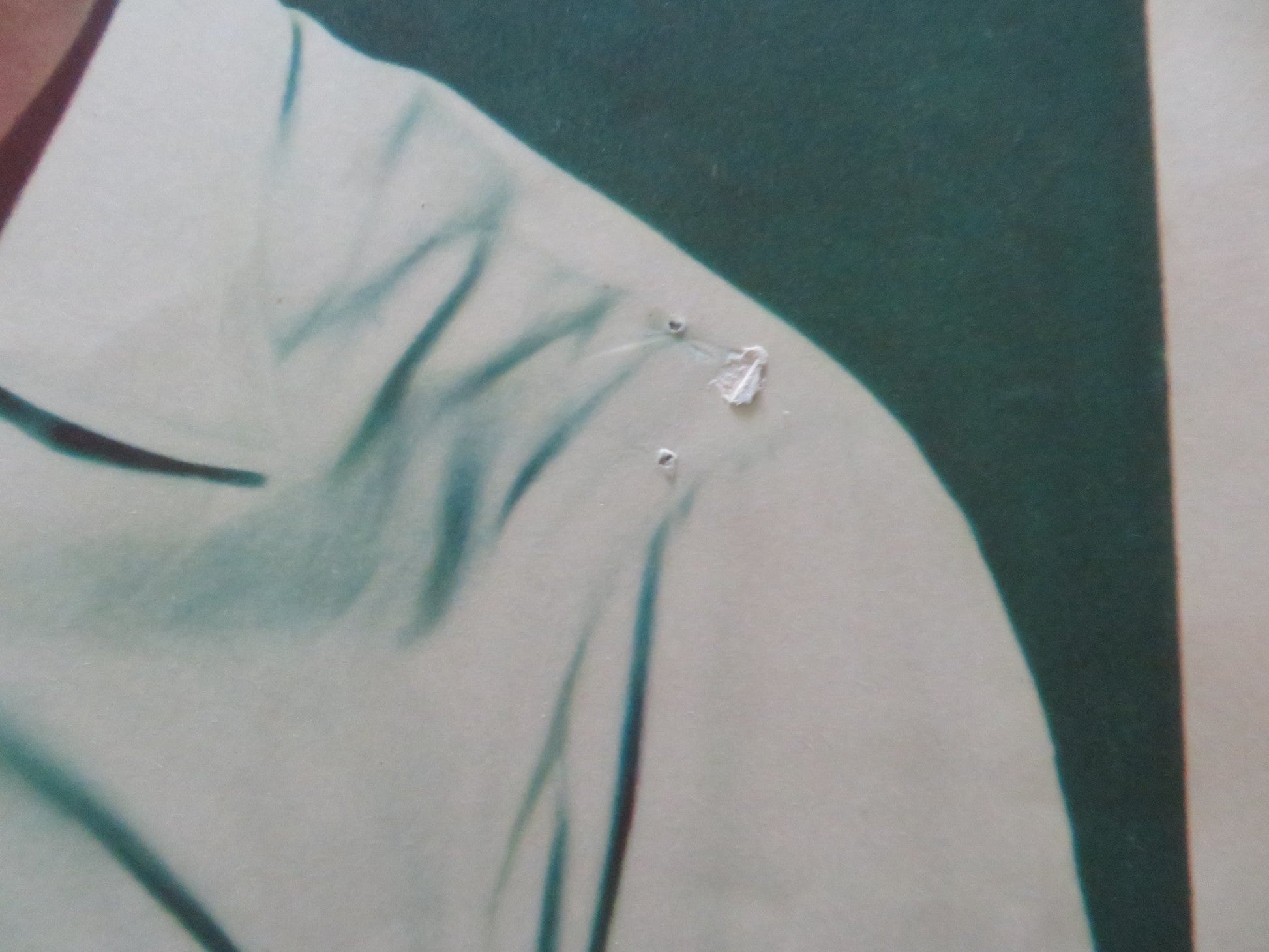 UNDERTOW - #6 LOBBY CARD SCOTT BRADY JOHN RUSSELL 1949 Rendezvous Cinema Movie posters