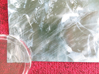 UNDERWORLD: EVOLUTION UK QUAD ROLLED POSTER KATE BECKINSALE BILL NIGHY 2006 Rendezvous Cinema Movie posters