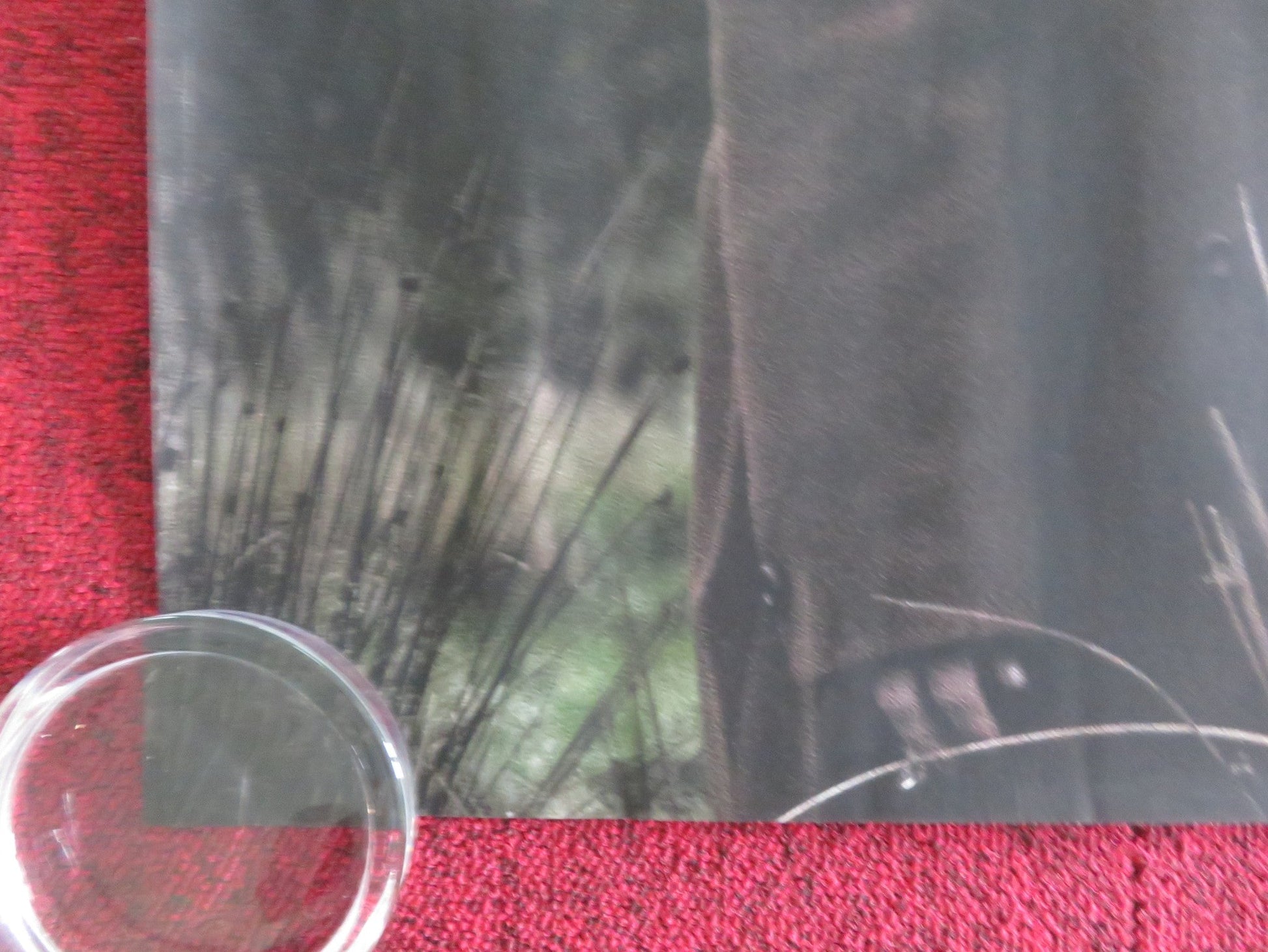 UNMOORED UK QUAD ROLLED POSTER ANNA PROCHNIAK KRIS HITCHEN 2023 Movie posters