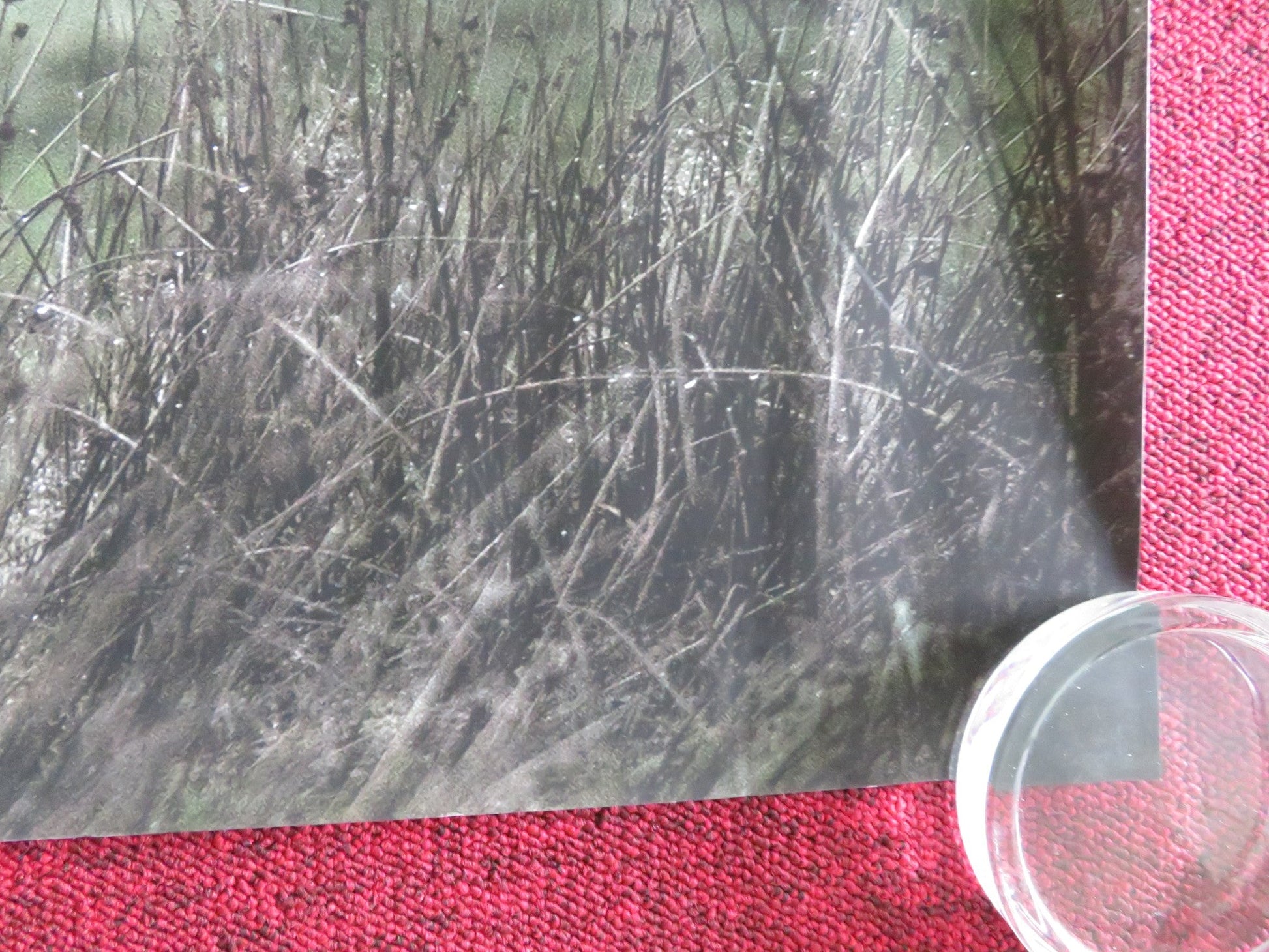 UNMOORED UK QUAD ROLLED POSTER ANNA PROCHNIAK KRIS HITCHEN 2023 Movie posters