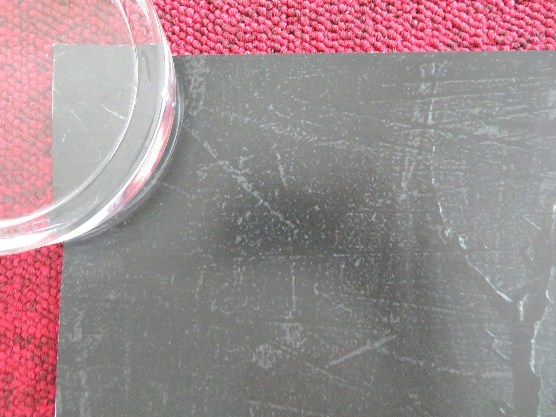 UNTIL DAWN UK QUAD ROLLED POSTER ELLA RUBIN MICHAEL CIMINO 2025 Movie posters