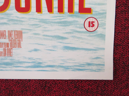 UP CLOSE AND PERSONAL VHS POSTER ROLLED ROBERT REDFORD MICHELLE PFEIFFER 1996 Rendezvous Cinema Movie posters